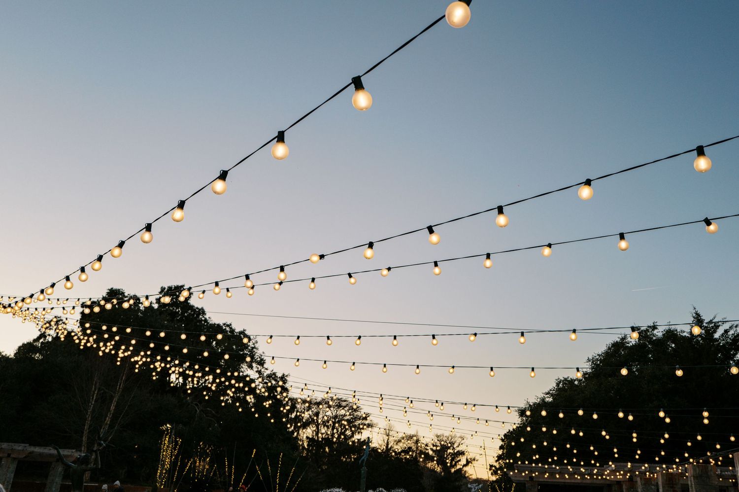 String lights hang overhead against a dusky blue sky creating a warm, festive outdoor ambiance.
