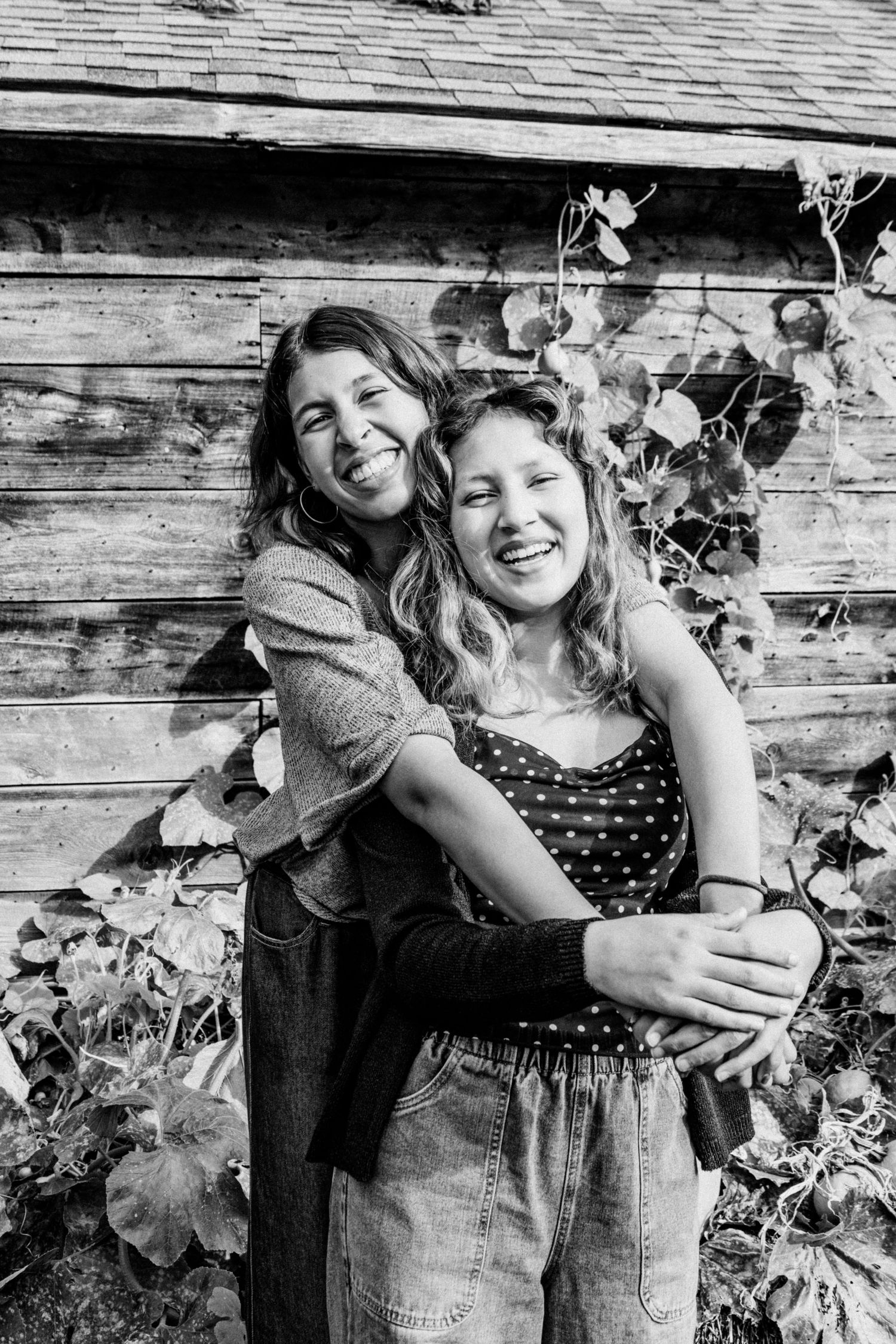 Family photographer Collingwood