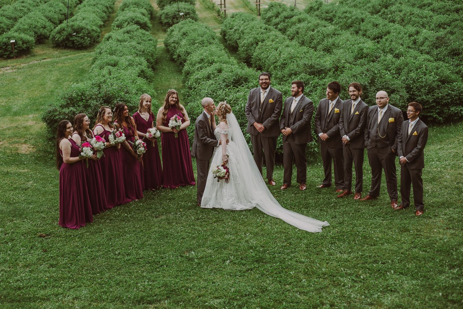 Wedding party in burgundy dresses and grey suits posing on green hillside with manicured hedgerows at Northern Lights Winery, Prince George,
