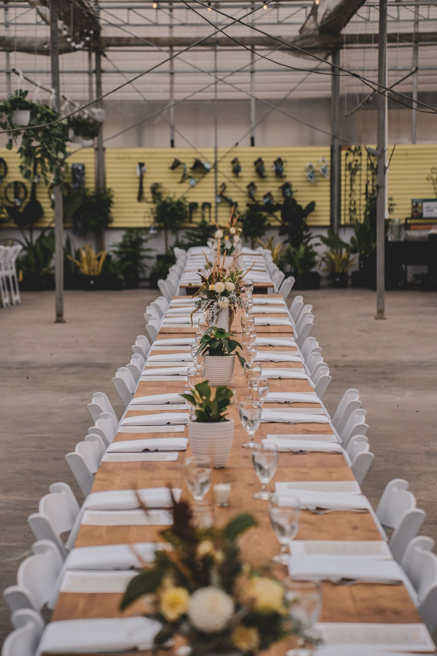 Long rustic wooden banquet tables elegantly set with white linens in a greenhouse wedding venue.