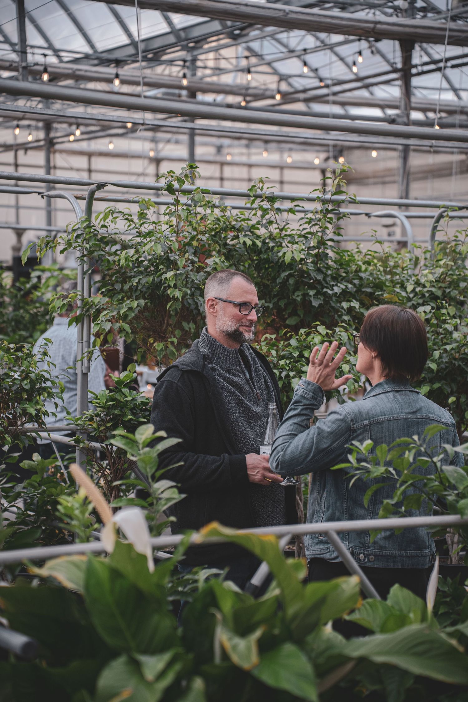 Two men engaged in conversation among green plants inside a sunlit greenhouse with string lights overhead.