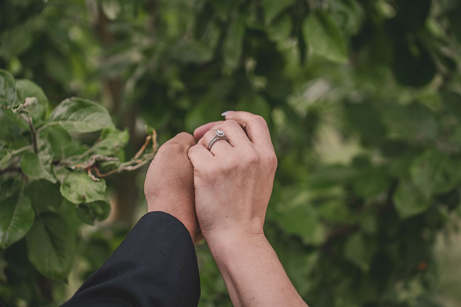 Close-up of couple holding hands with diamond engagement ring among green leaves.