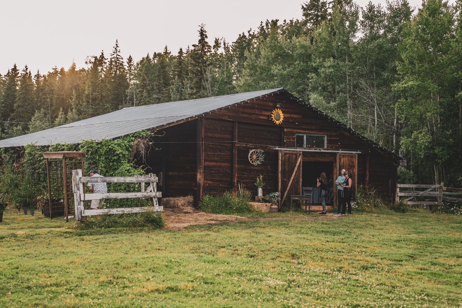 Couple stands in the doorway of a rustic wooden barn surrounded by forest at golden hour at Wild Flower wedding venue in PG.
