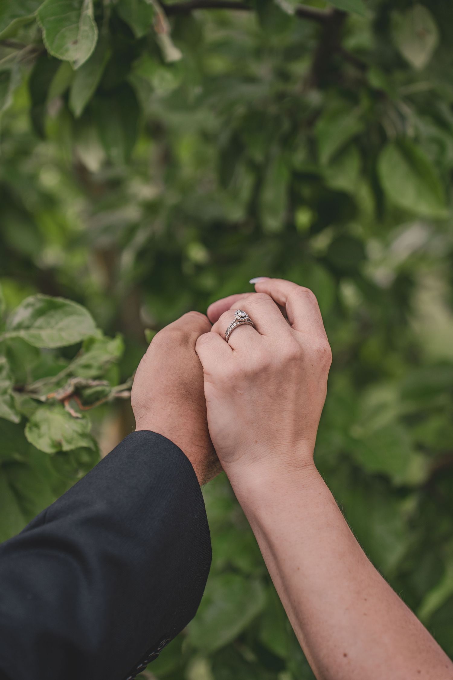 Close-up of couple holding hands outdoors, bride wearing a sparkling diamond engagement ring with green leaves behind.
