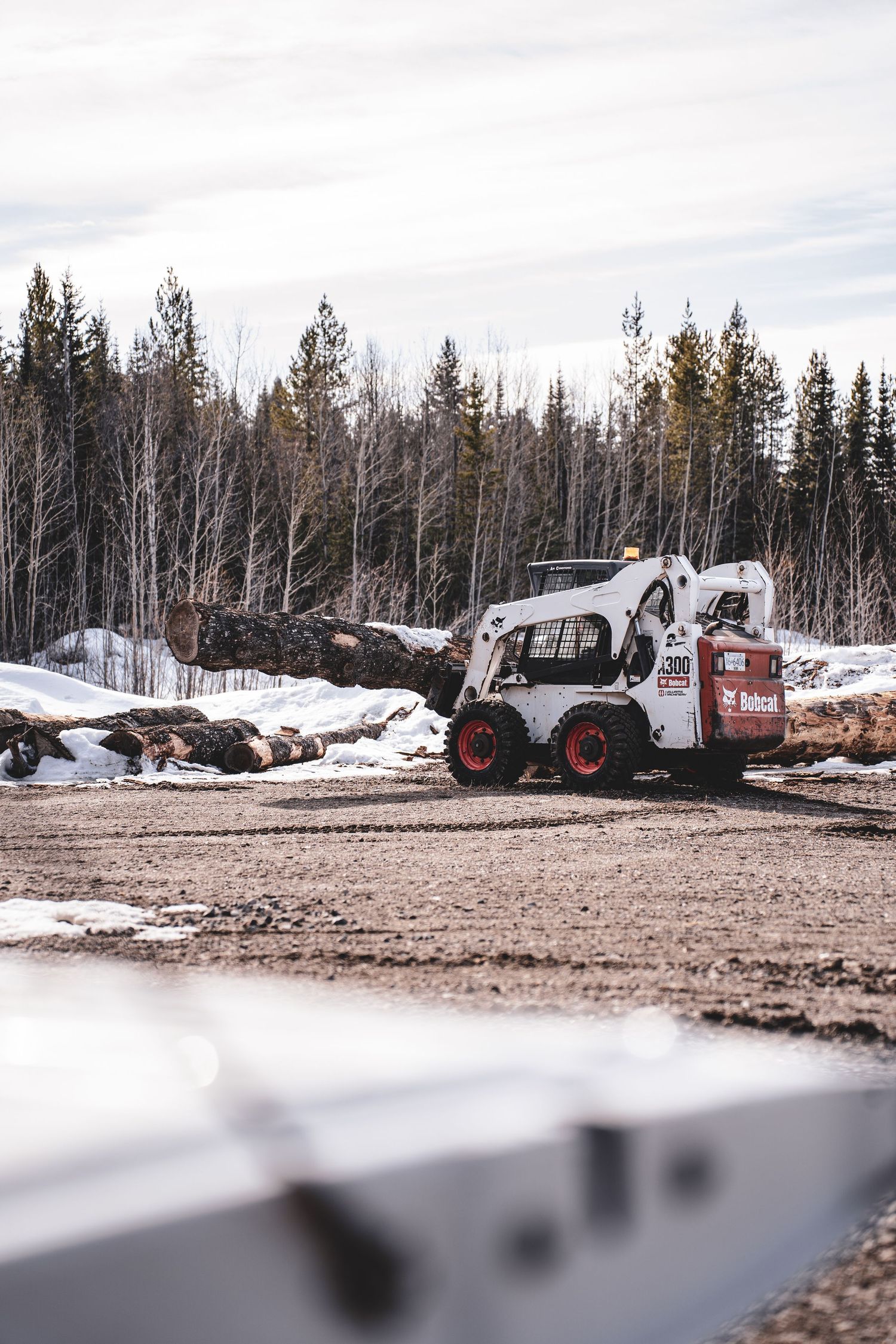 Bobcat skid steer loader moving logs in a snowy outdoor lumber yard surrounded by pine trees.