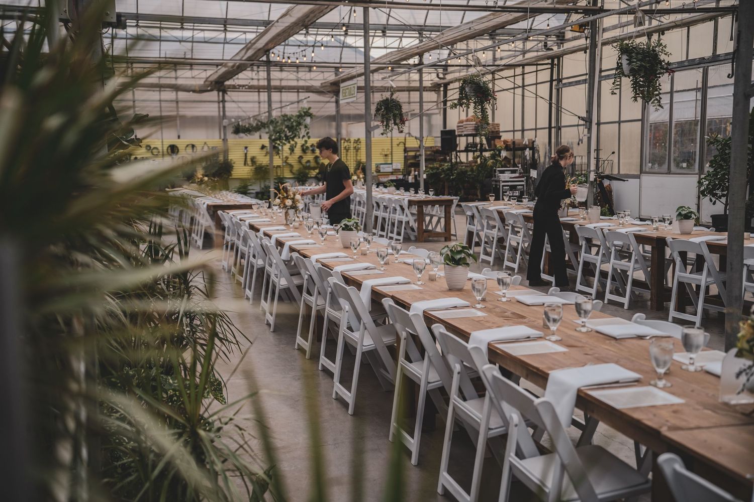 Elegant greenhouse dining setup with long tables, white chairs, and lush tropical plants overhead.