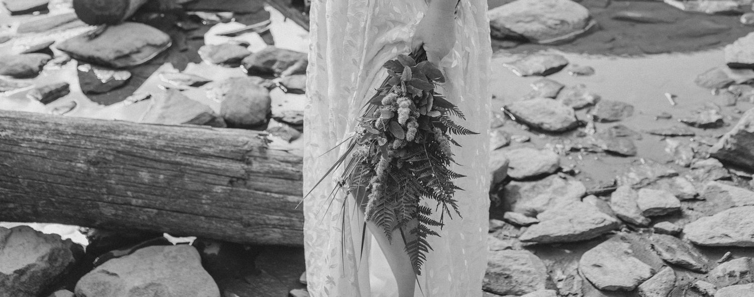 Black and white close-up of a small fern growing from a weathered driftwood log on rocky shore.