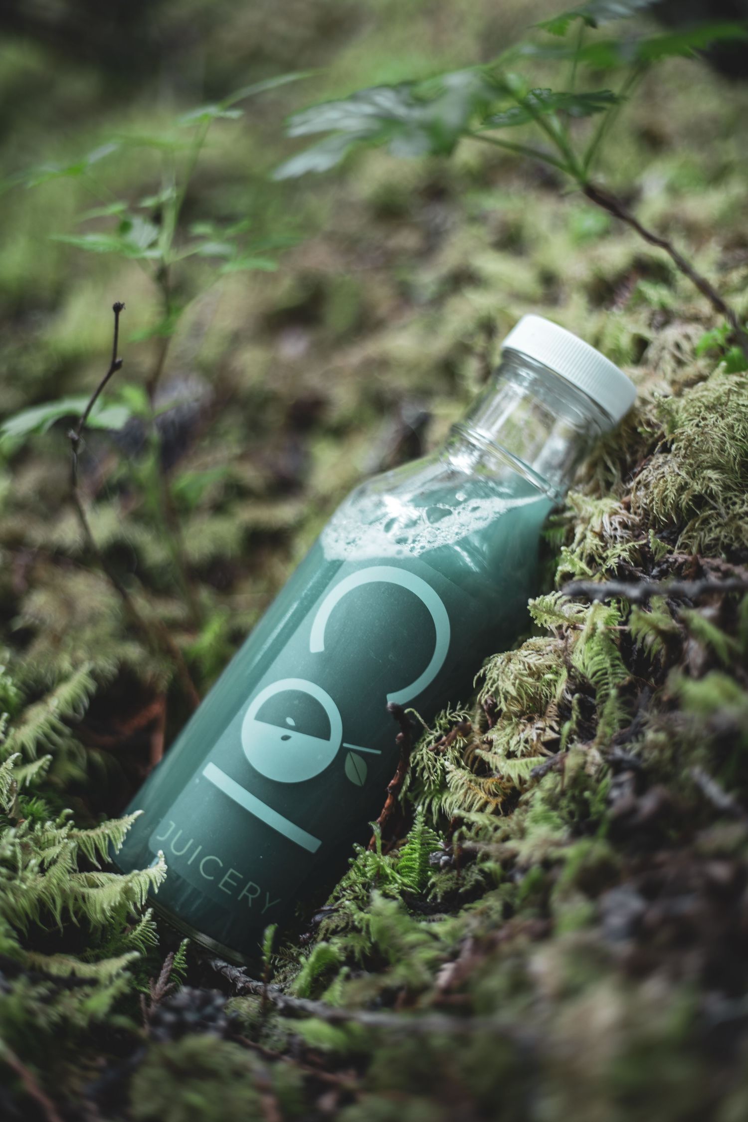 Product photography of  Cole Green Juicery cold press juice bottle lying on mossy forest floor among ferns.