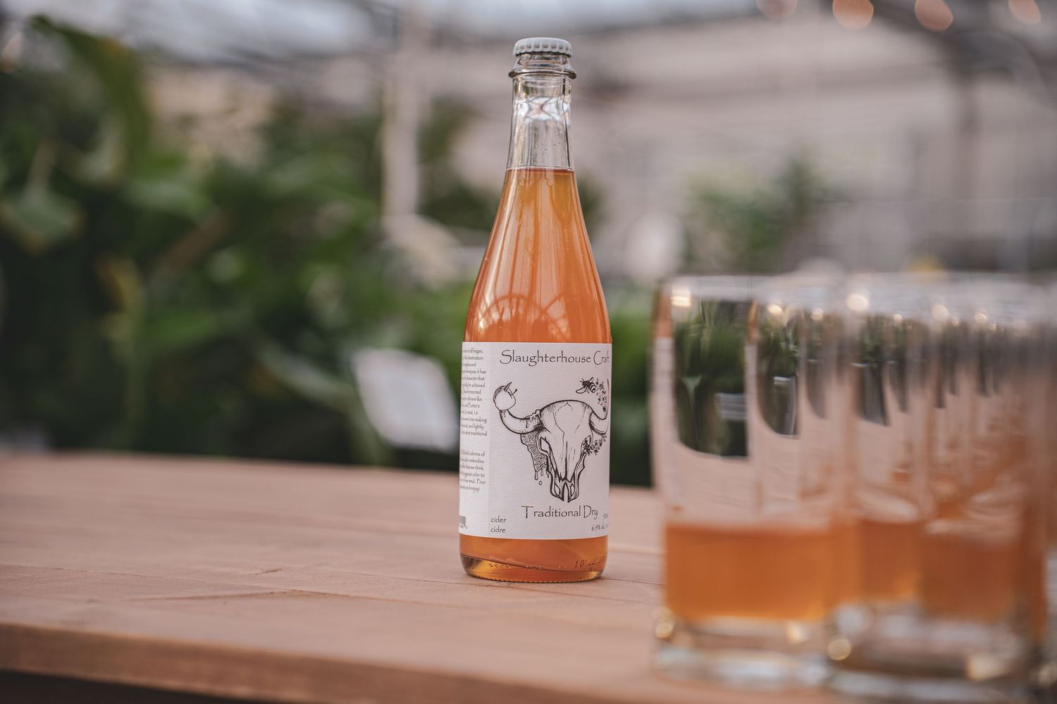Craft beverage bottle with bull skull label beside filled glasses on a wooden table in a greenhouse.