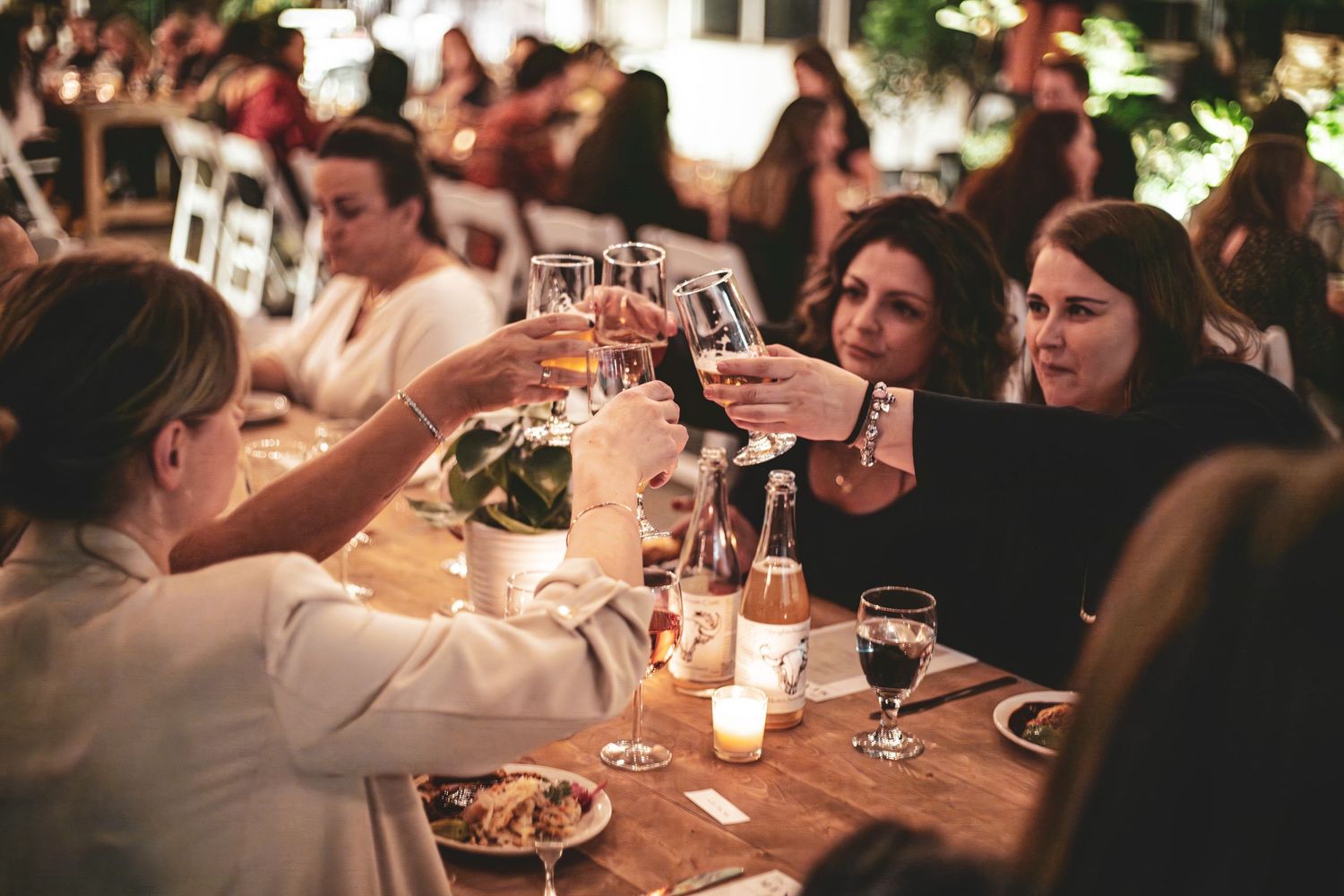 Three women raise glasses in a toast at the farmer's long table event for Tourism PG.