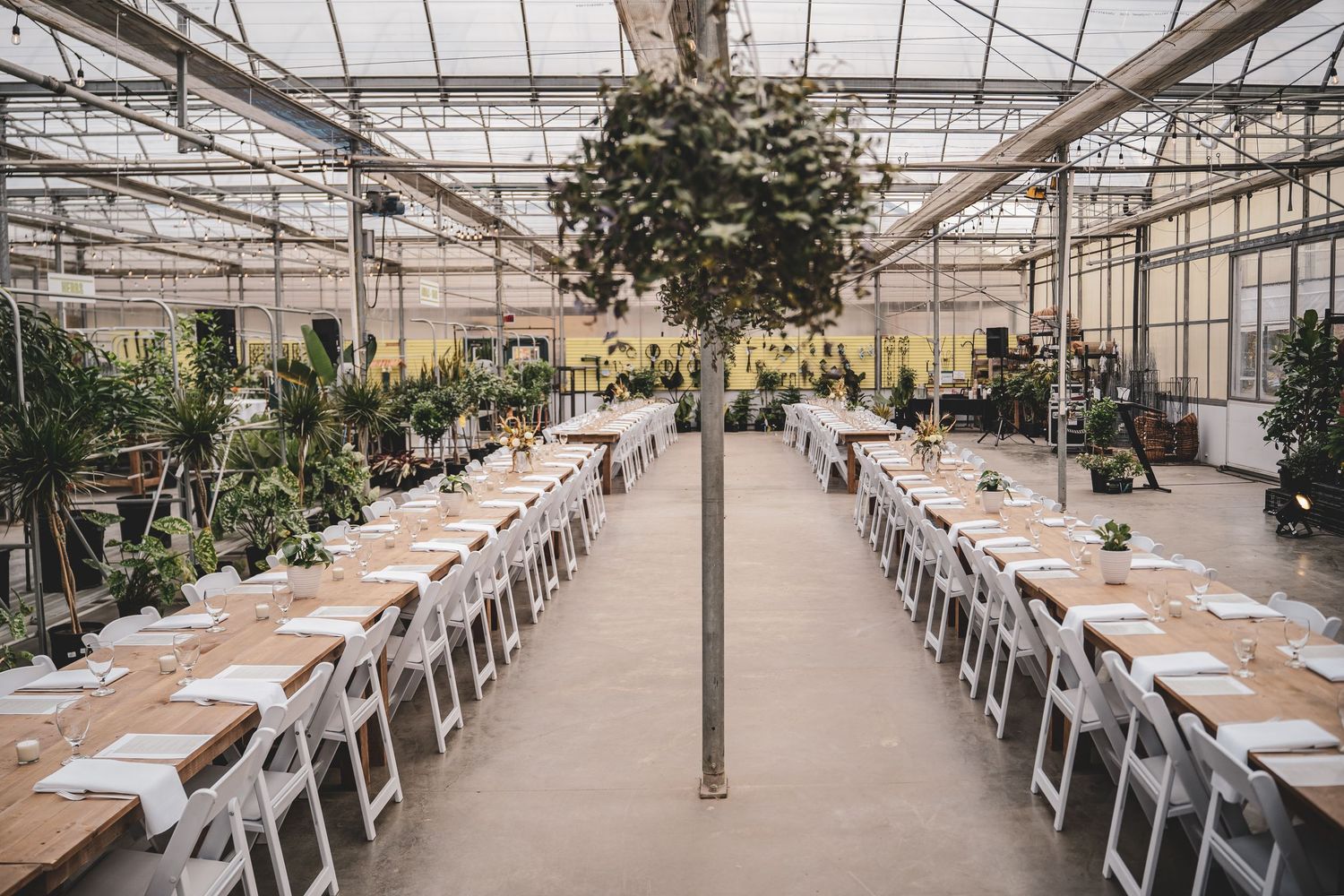 Long elegant wedding reception tables set in a lush greenhouse venue surrounded by tropical plants.