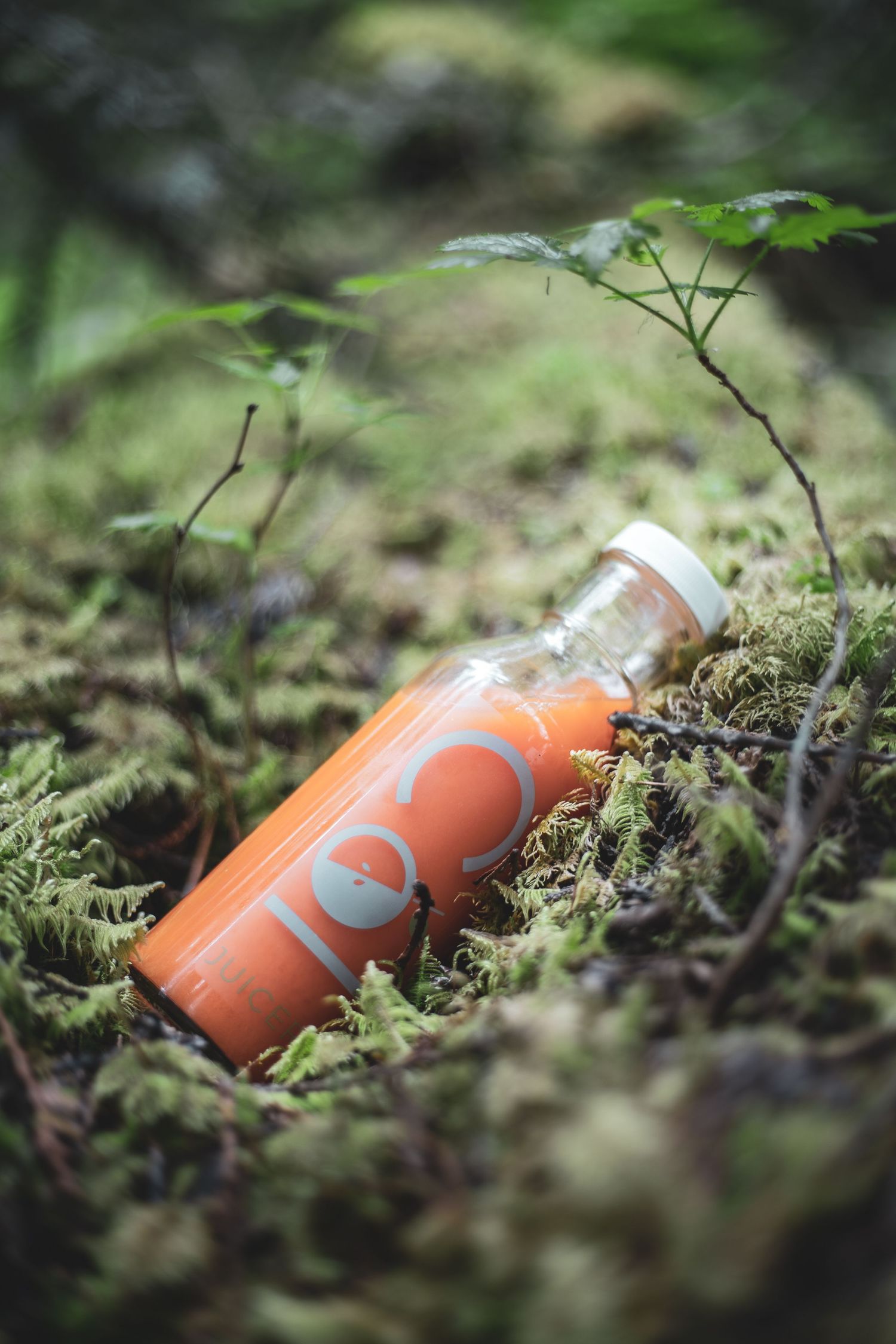 Product photography of Orange Cole Juicery cold press juice bottle resting on moss covered ground in forest.