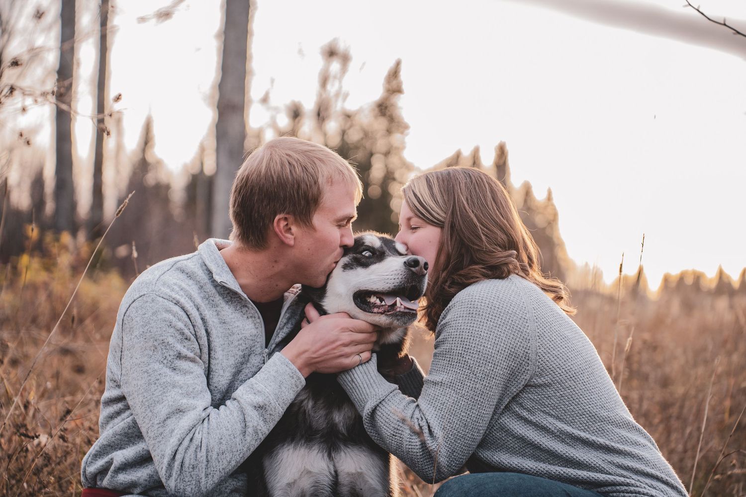 Happy couple kissing their fluffy husky dog in a sun-drenched autumn field at golden hour.