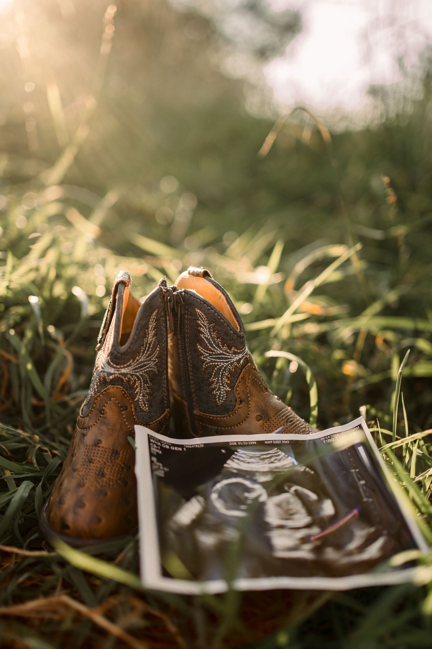 Brown leather dress shoes placed artistically in grass during golden hour.