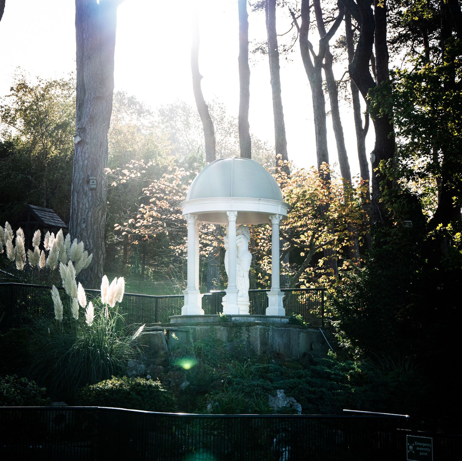 Silhouettes of trees and sculptures in a misty garden at dusk create an ethereal atmosphere.
