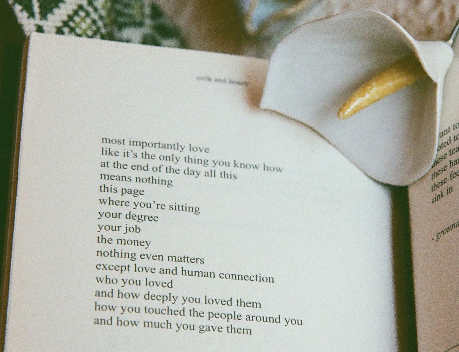 Open book displaying a heartfelt poem about love and human connection, with a white calla lily resting on the pages.