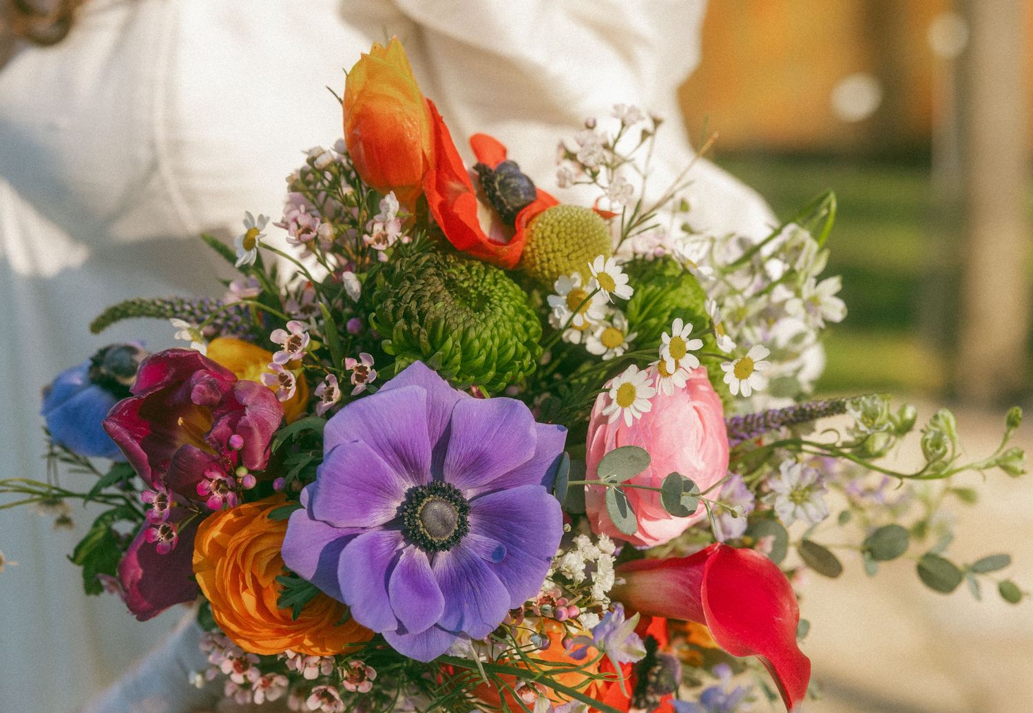 Colorful bridal bouquet featuring purple anemones, orange ranunculus, tulips, and wildflowers held by bride.