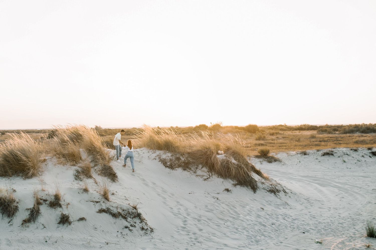 A serene winter beach landscape with snow-covered sand dunes and beach grass against a cloudy sky.