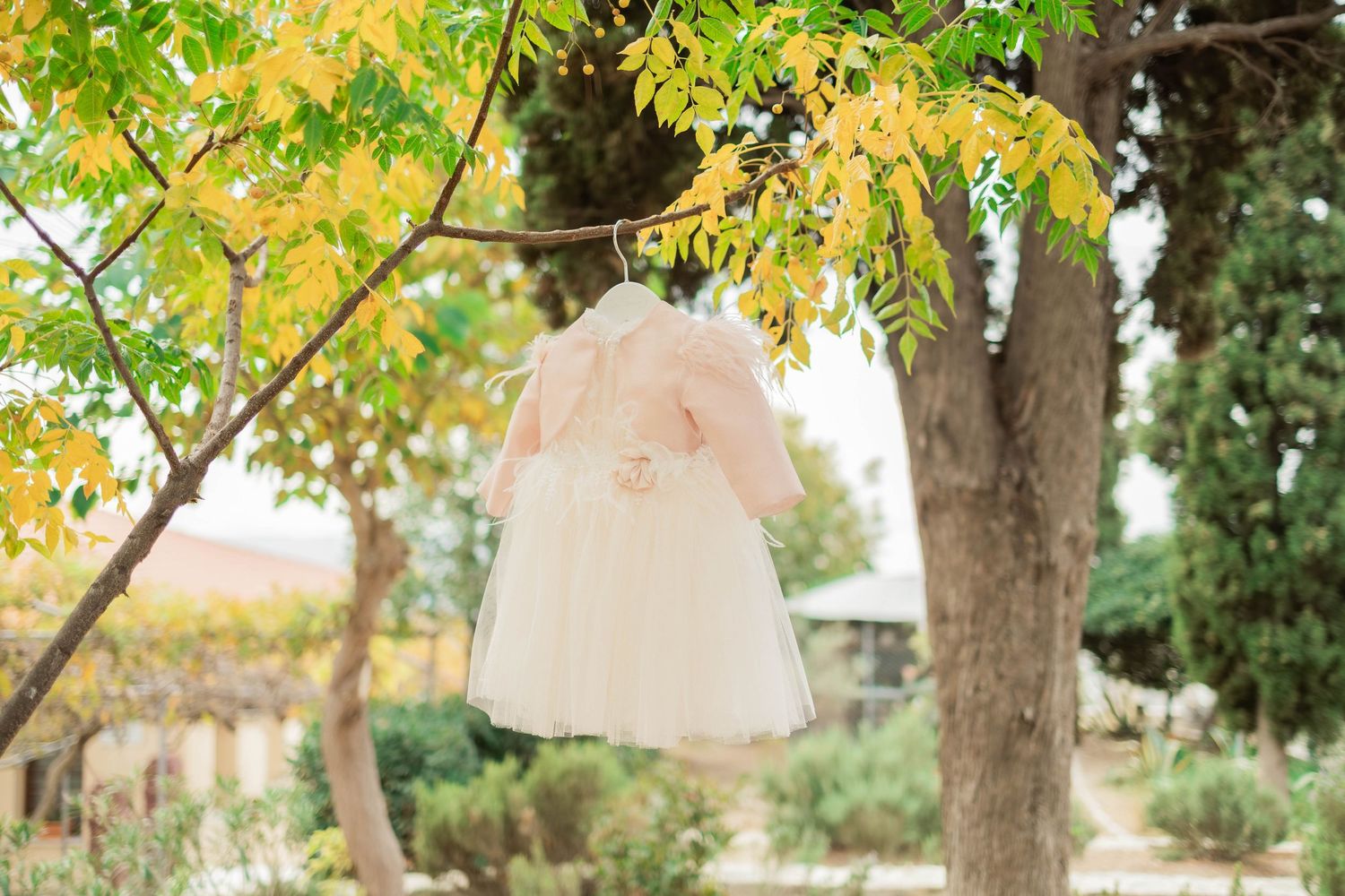 A pink tulle dress hangs from a tree branch in a garden setting during golden hour lighting.