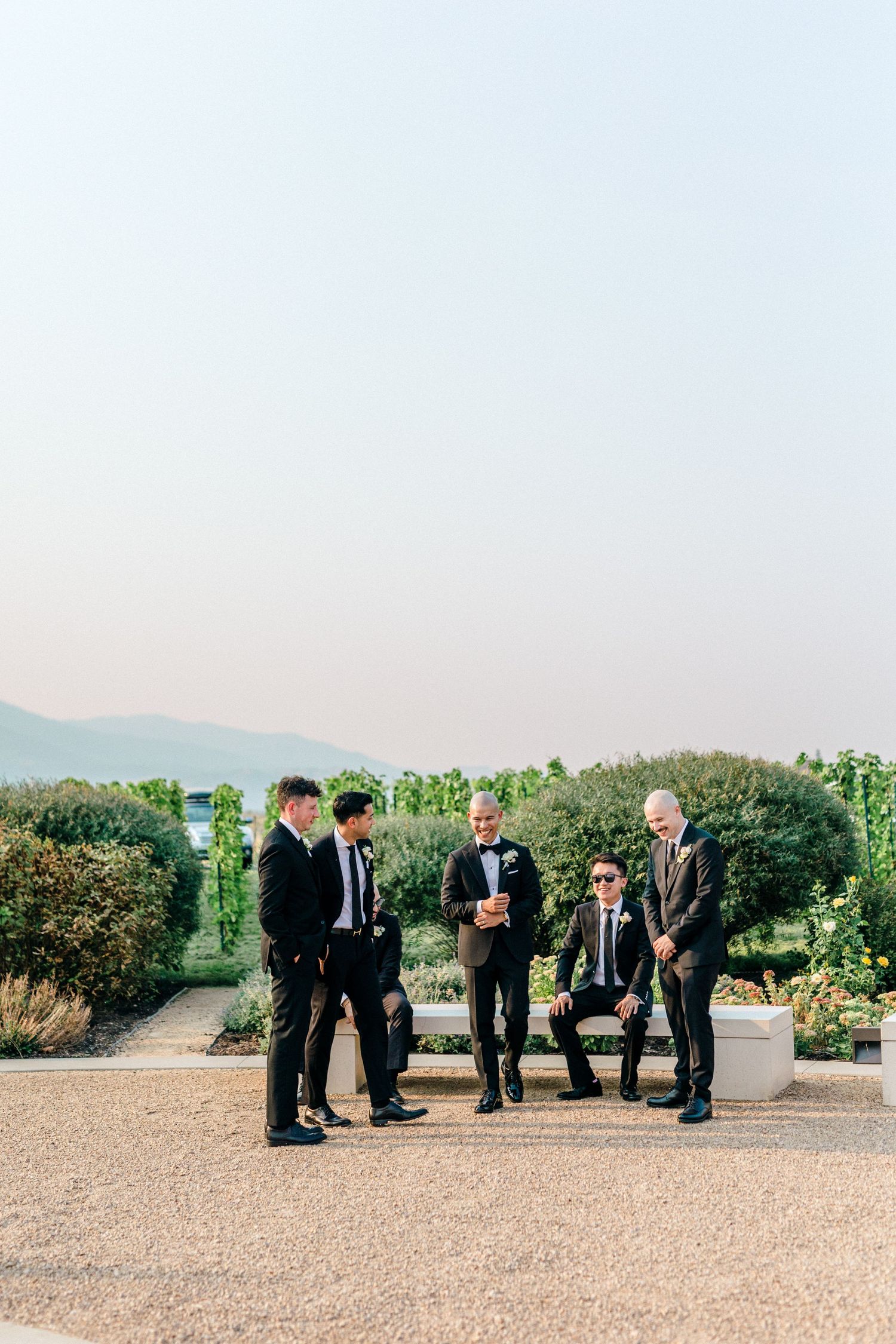 Wedding party in formal attire poses outdoors in vineyard setting.