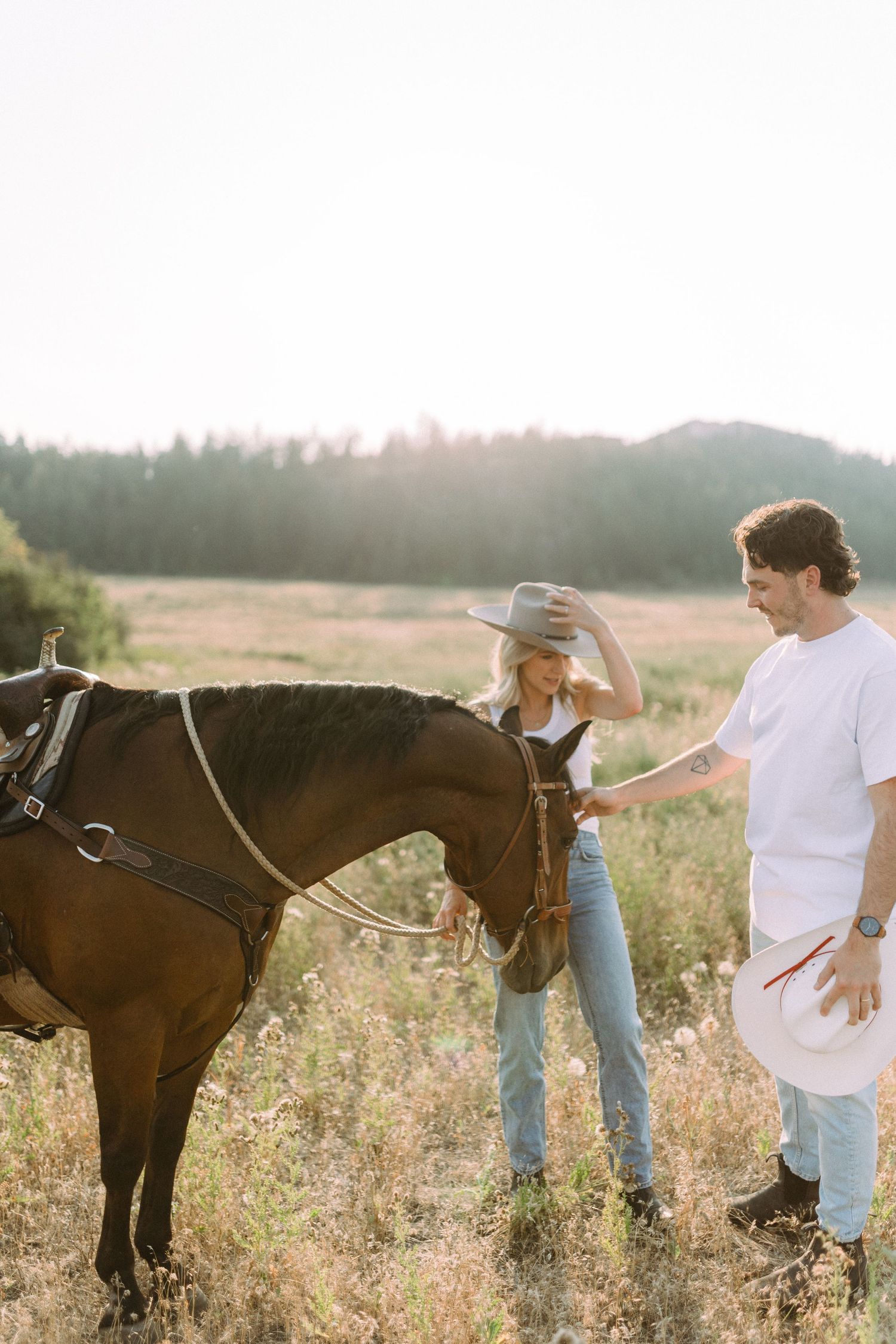 People interact with brown horses in a sunlit wildflower meadow during golden hour.