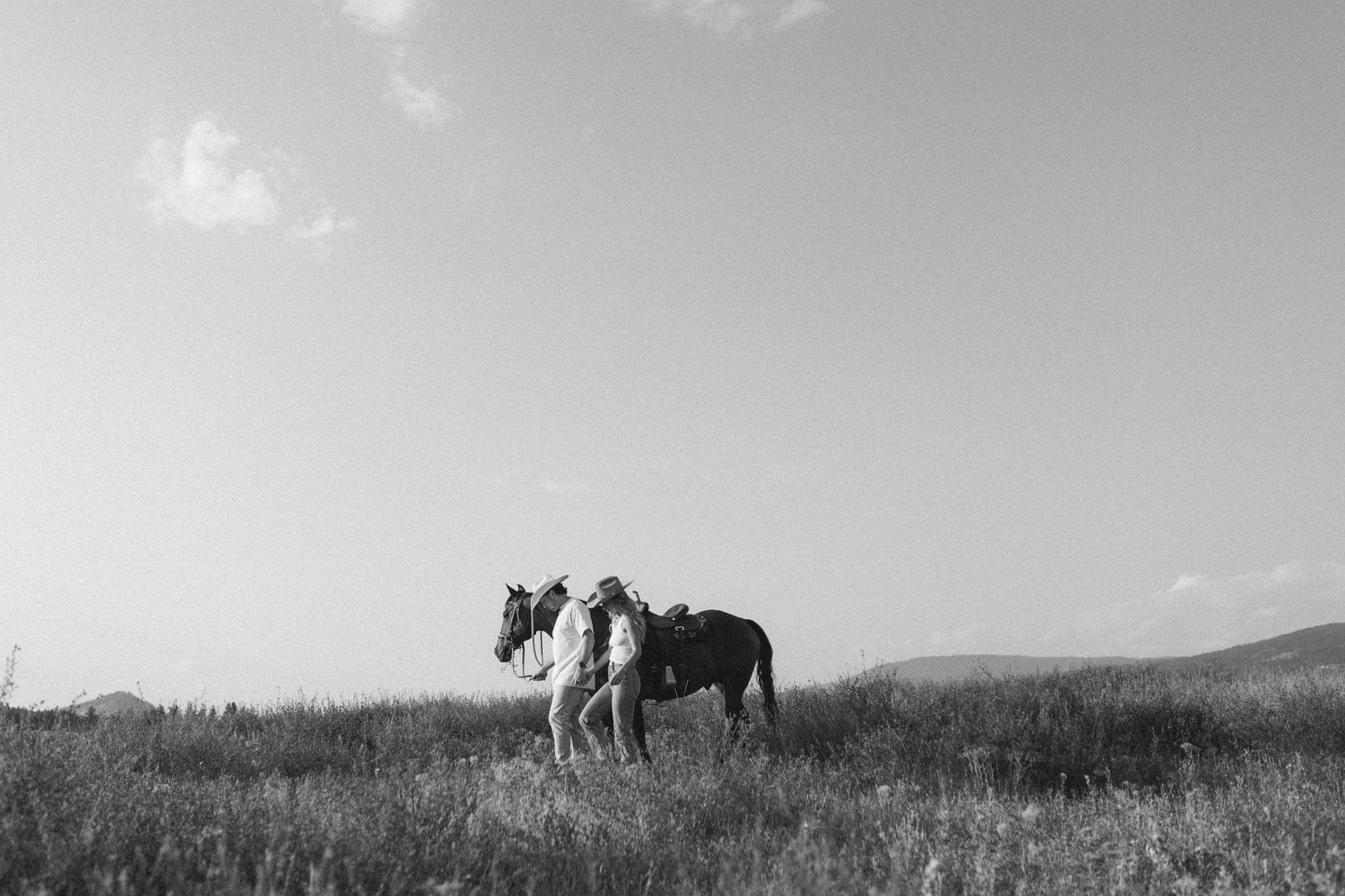 Two horses grazing on a hilltop in silhouette against an overcast sky in black and white.