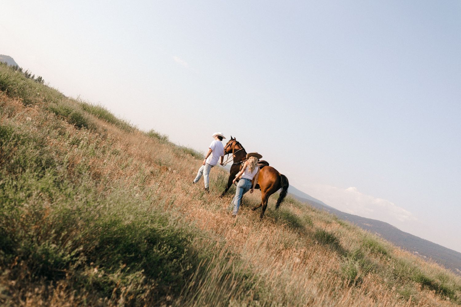 Panoramic view of horses and their riders traversing a sloping meadow at sunset.