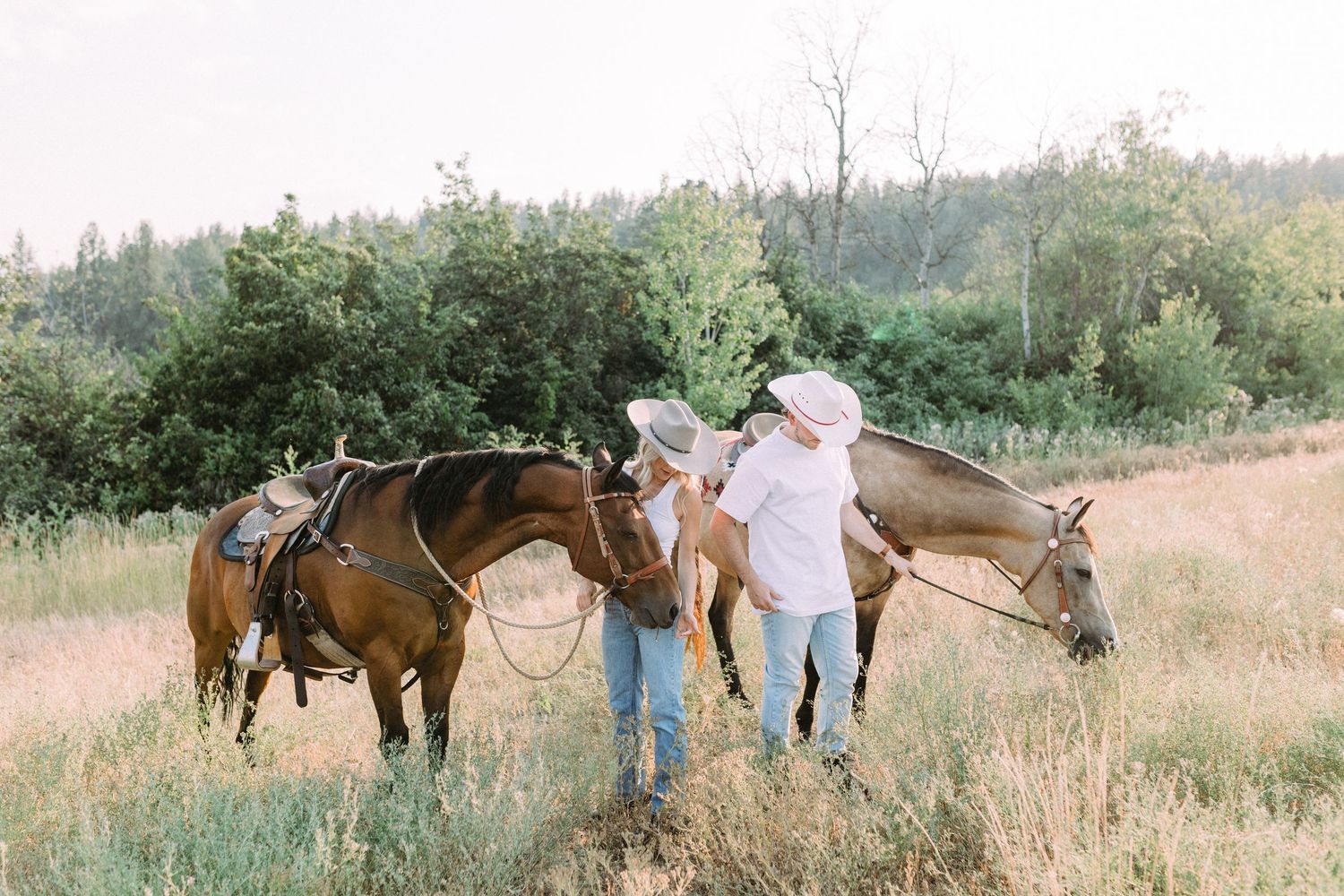Horses graze in a sunlit field with riders on a summer afternoon.