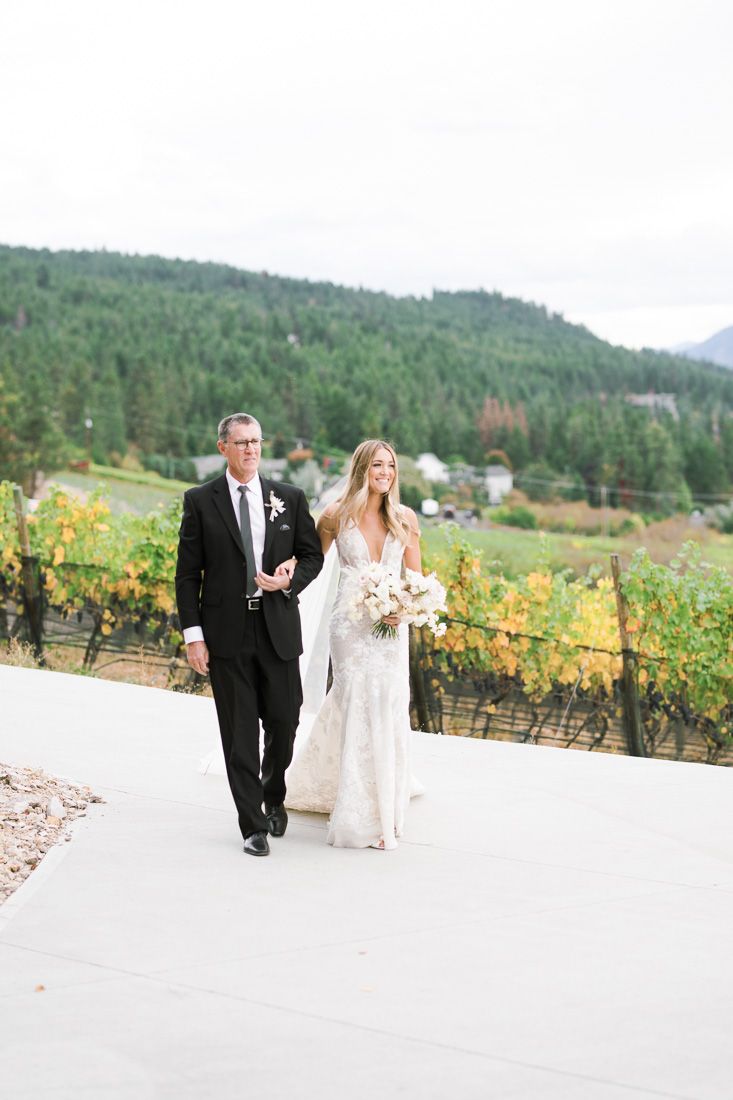 Wedding ceremony walkway through vineyard with mountain landscape in background.