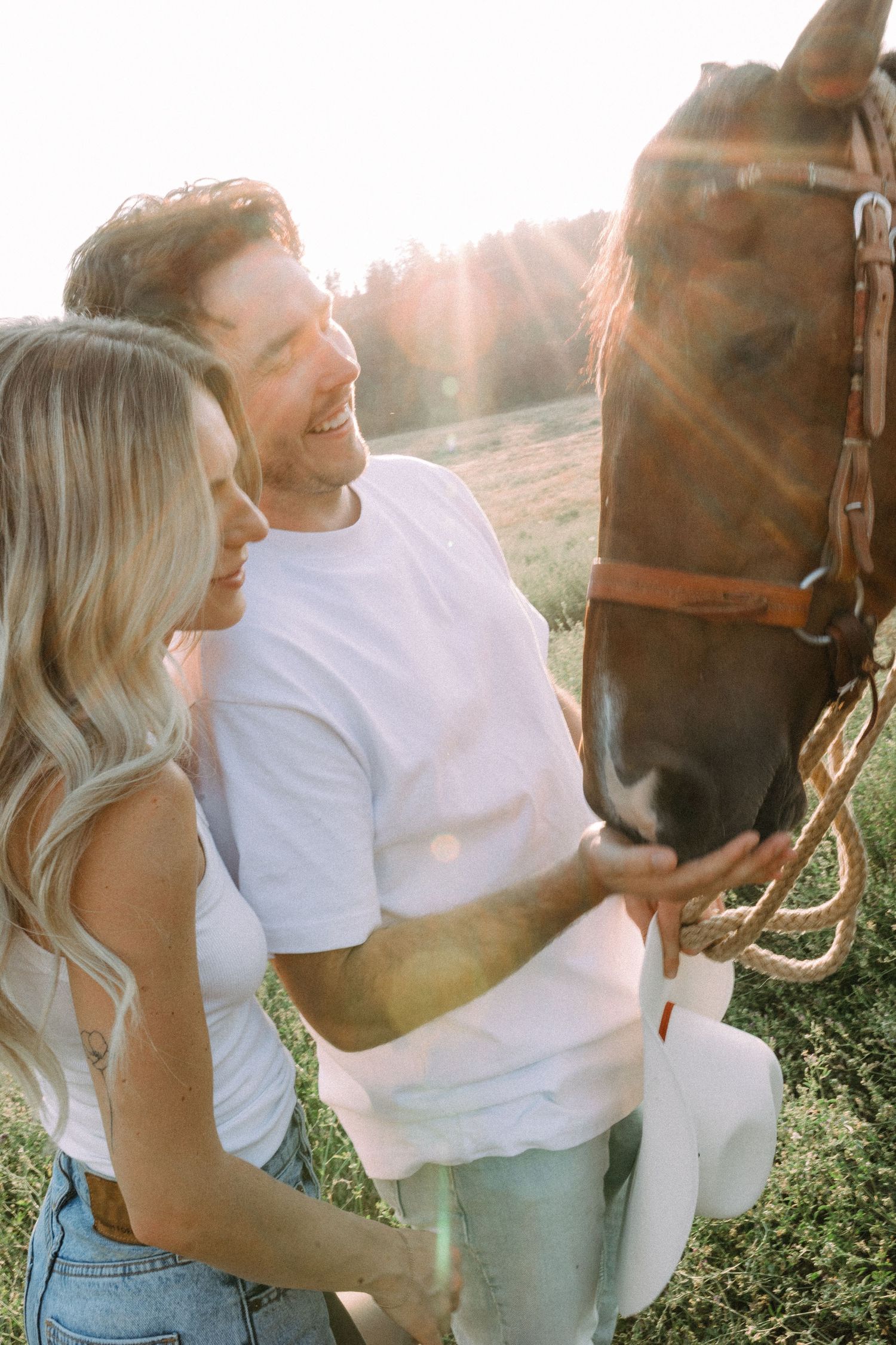 Warm sunset photo with a horse and riders in a golden-lit field.