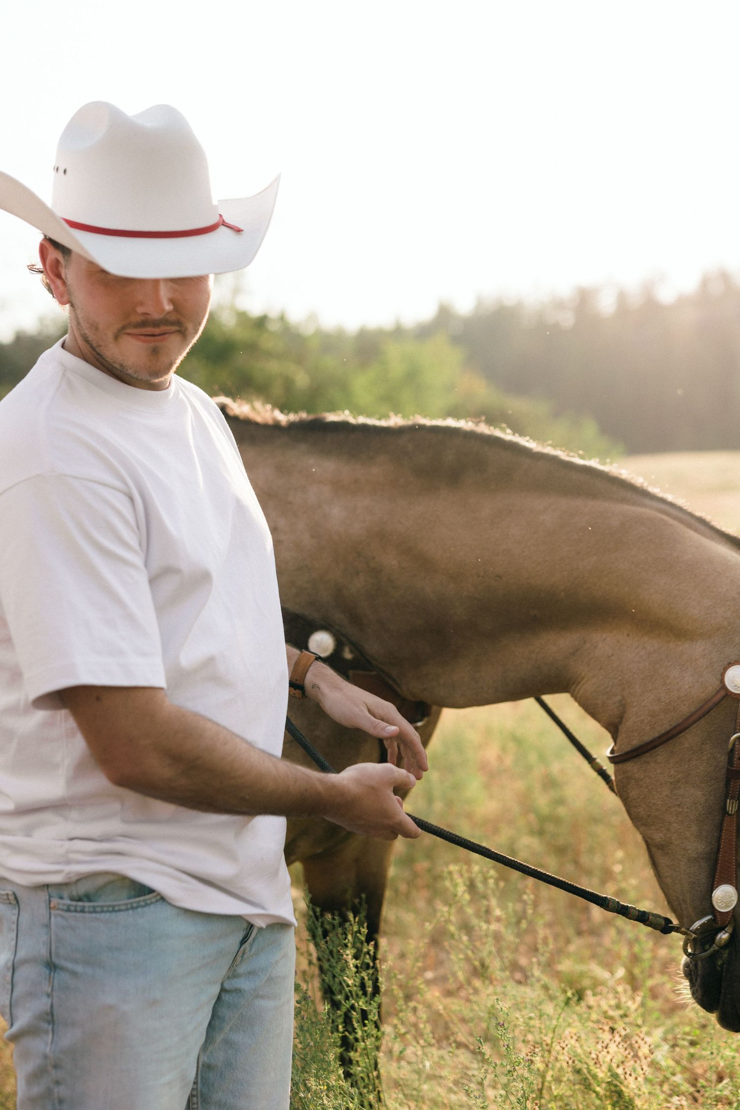 Close-up view of someone in a white shirt and cowboy hat petting a brown horse in a sunny field.