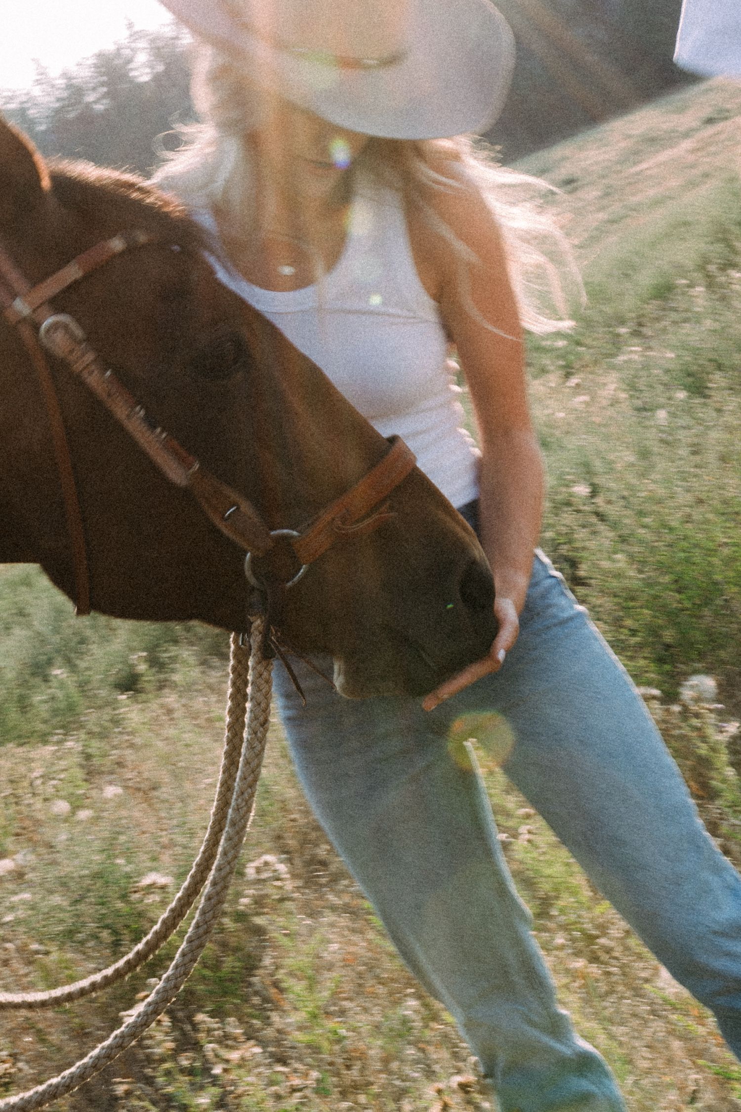 Person in jeans leads a dark brown horse through a grassy field on a sunny day.