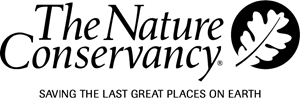 White oak leaf logo silhouette on black background.