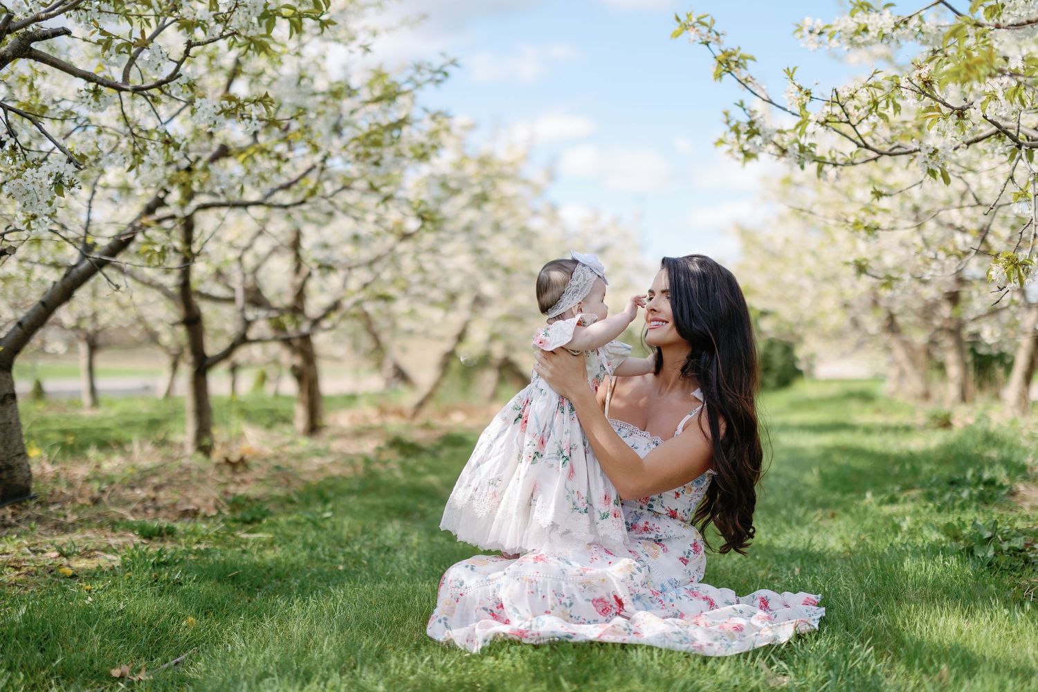 A tender springtime moment beneath blooming cherry blossom trees in an orchard on a sunny day.