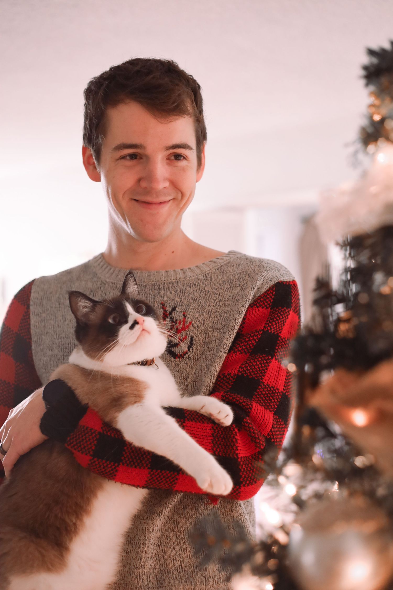 A picture by Sara Pang (MSK Productions) of a man with a red Christmas sweater holding a cat looking at a Christmas tree.
