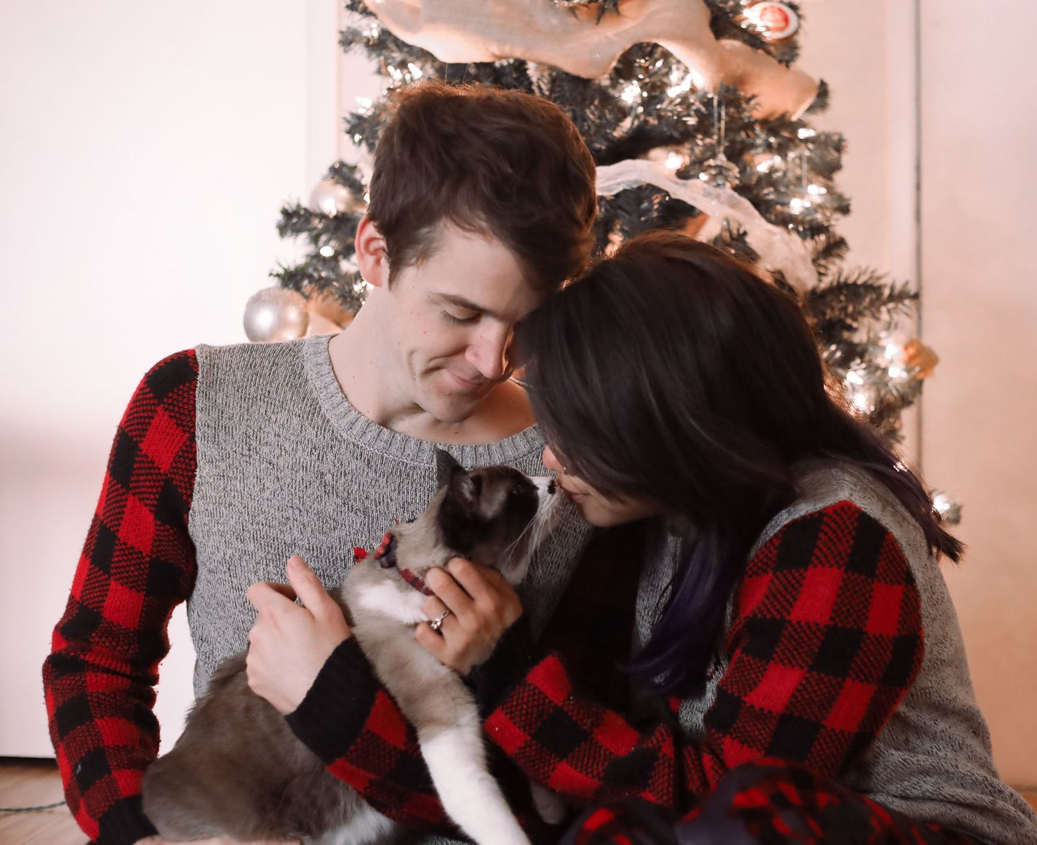 A picture by Sara Pang (MSK Productions) of a couple holding a cat under while sitting under a Christmas tree.