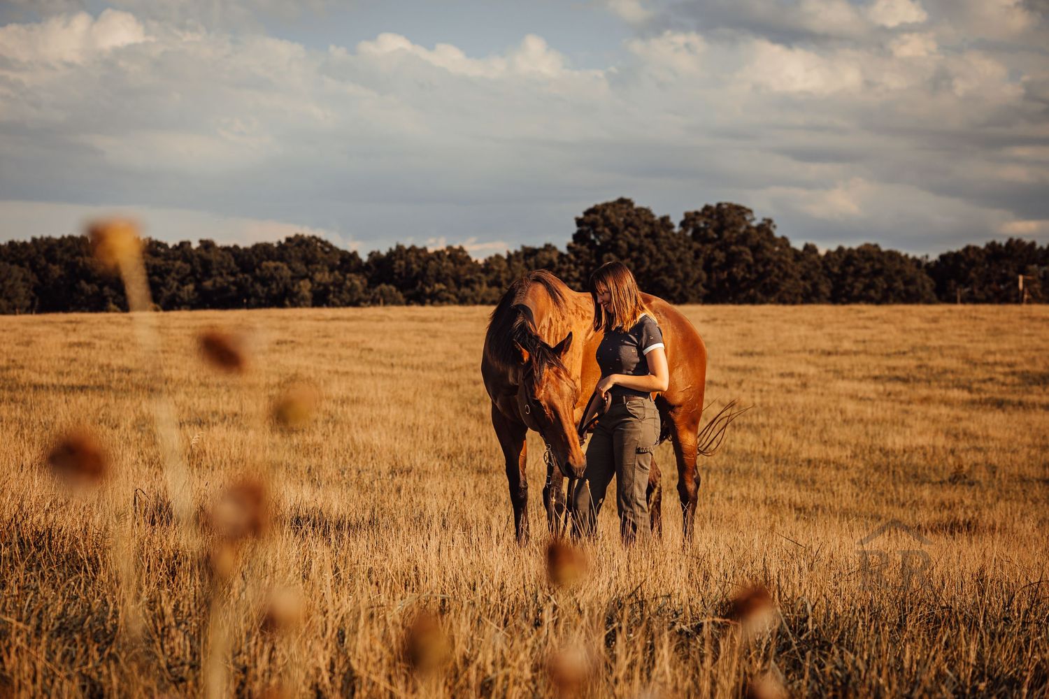 A candid photo of the bond between a horse and it's person.