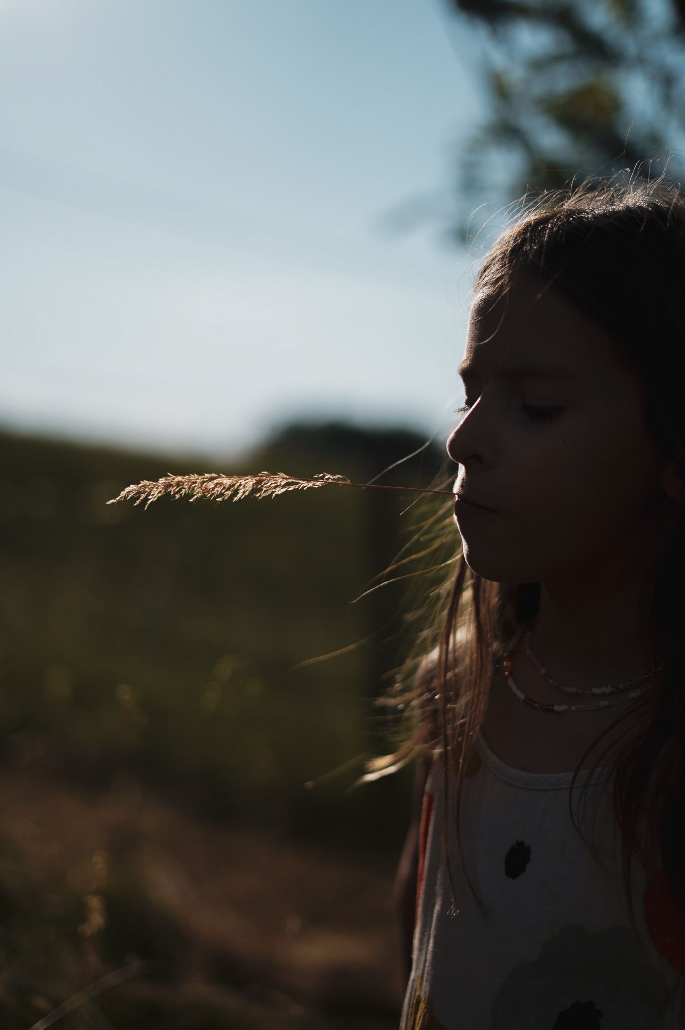 Enfant qui joue dans les champs avec un brin d'herbe lors d'une séance photo avec sa maman en plein été.