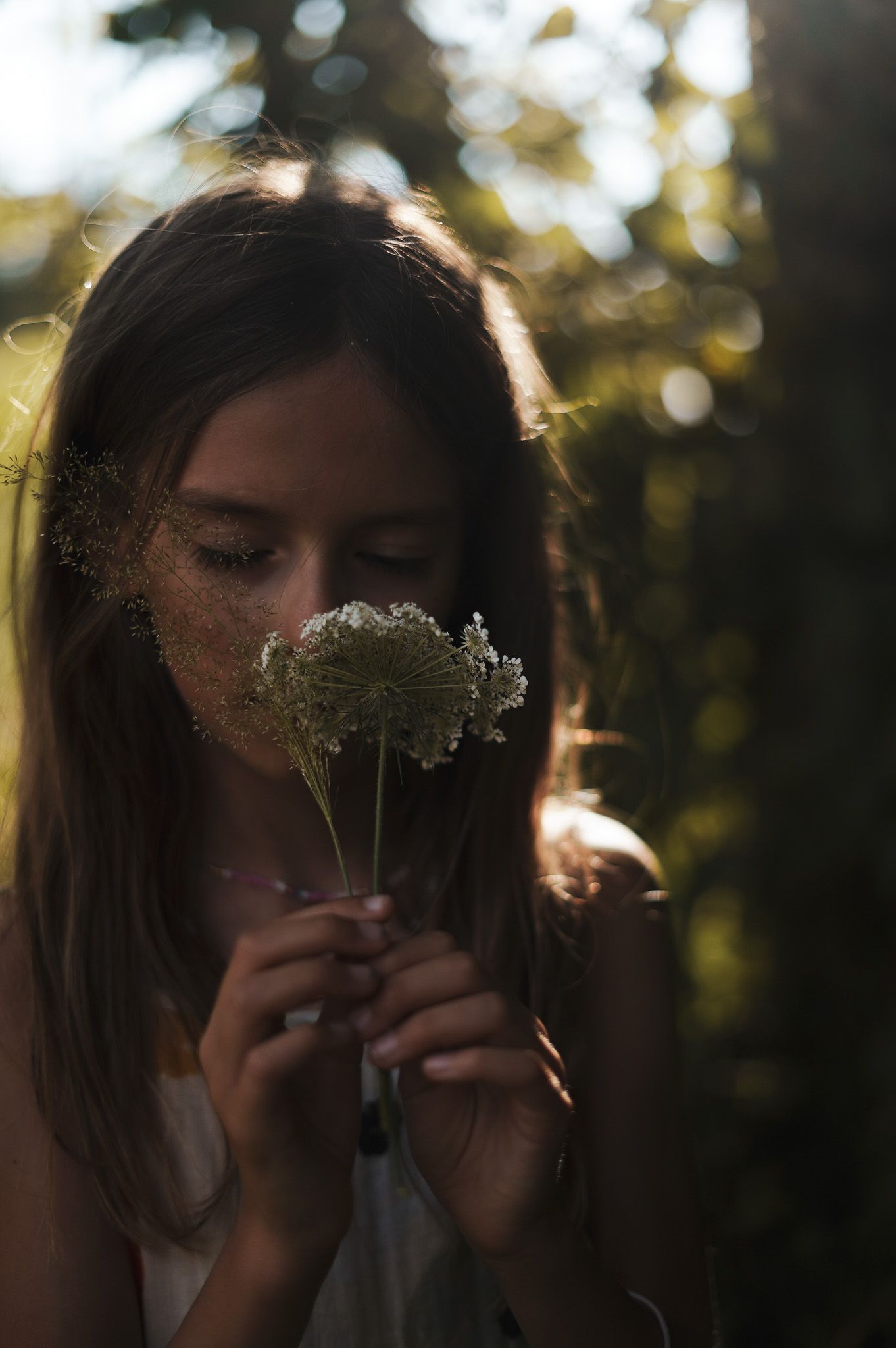 Fillette qui sent des fleurs au soleil couchant d'été, dans un champ à la campagne proche d'Annecy.