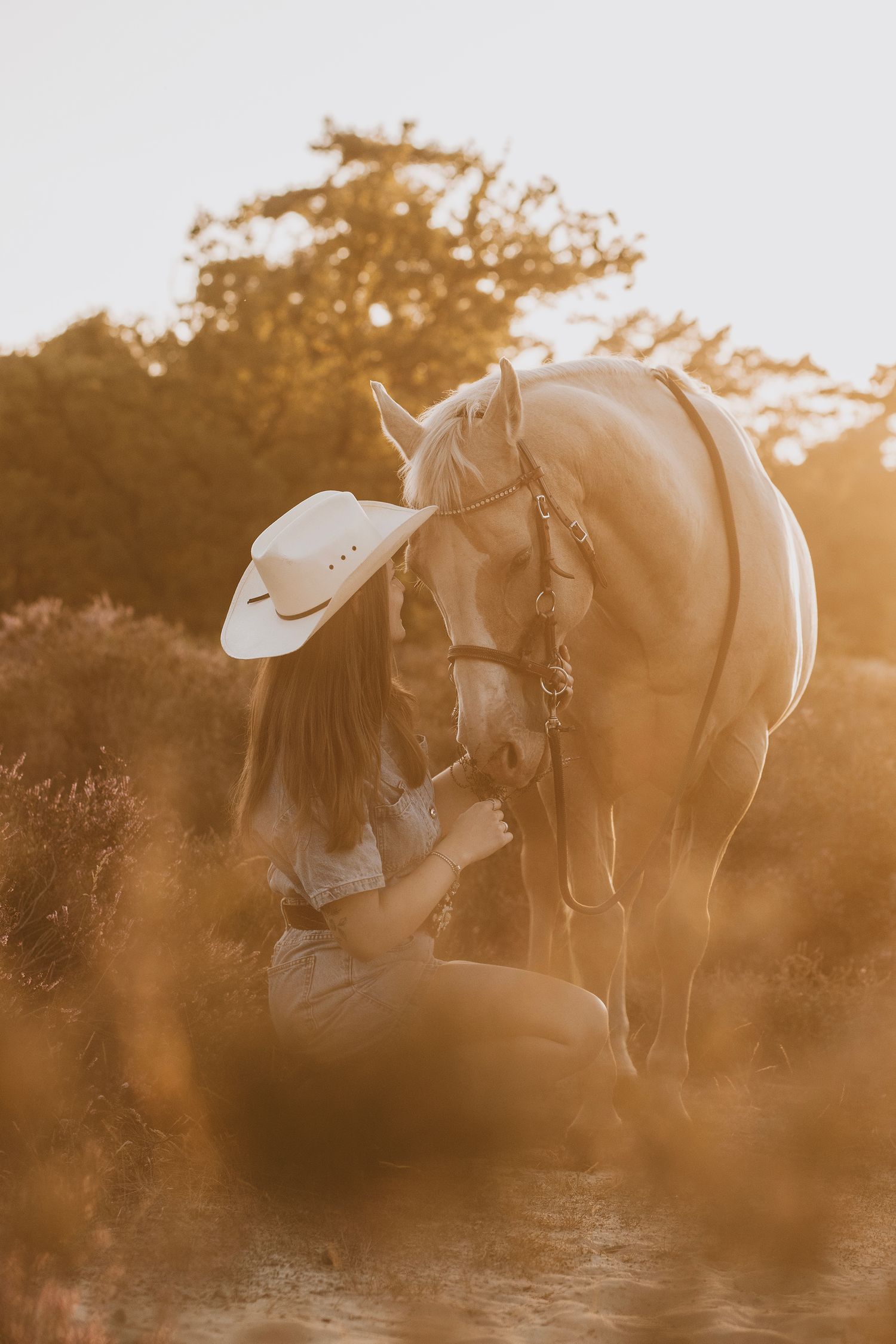 Horse with western saddle stands in golden sunlight during sunset creating a warm atmospheric scene.