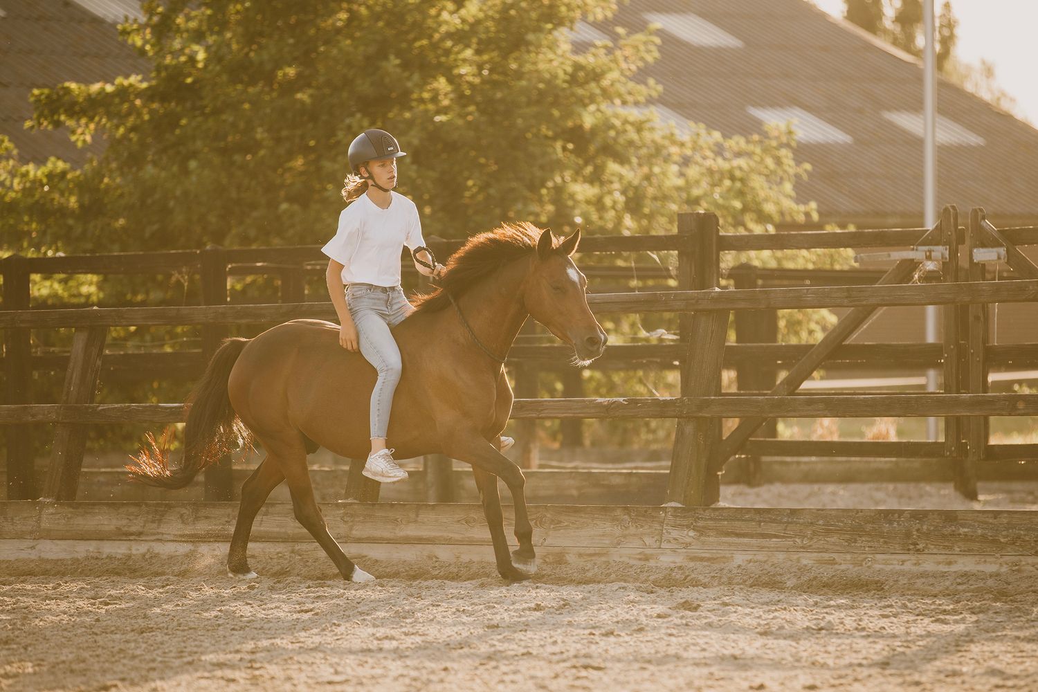 Rider practices horseback riding in a dusty arena during golden hour sunset with wooden fencing in background.