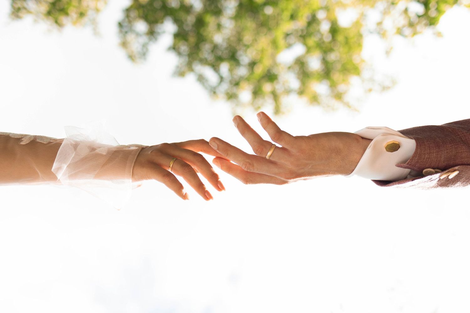 Two hands reaching toward each other against a bright sky with green trees, symbolizing connection and unity.
