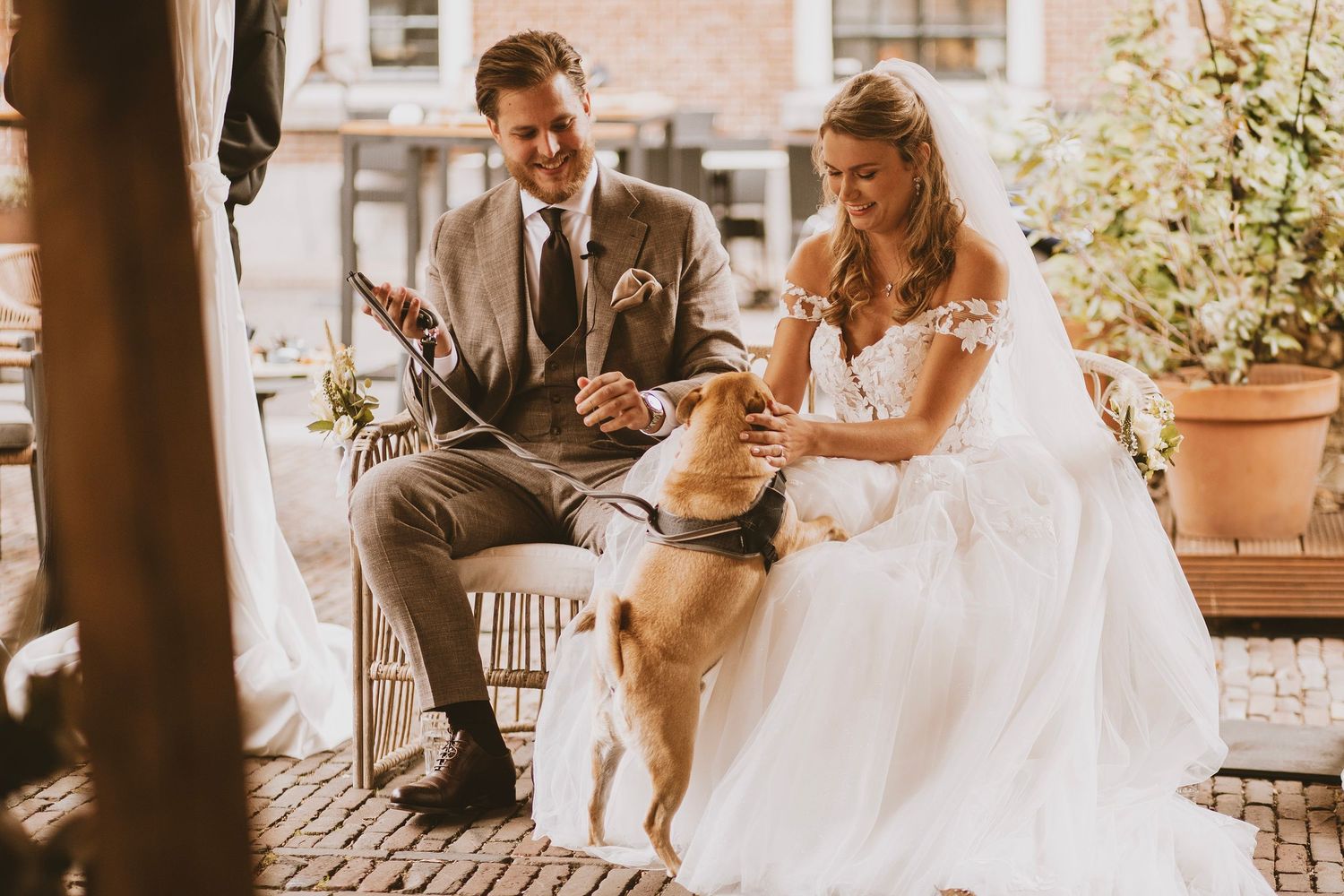 A series of wedding photos showing romantic moments between a couple in formal attire on their special day.