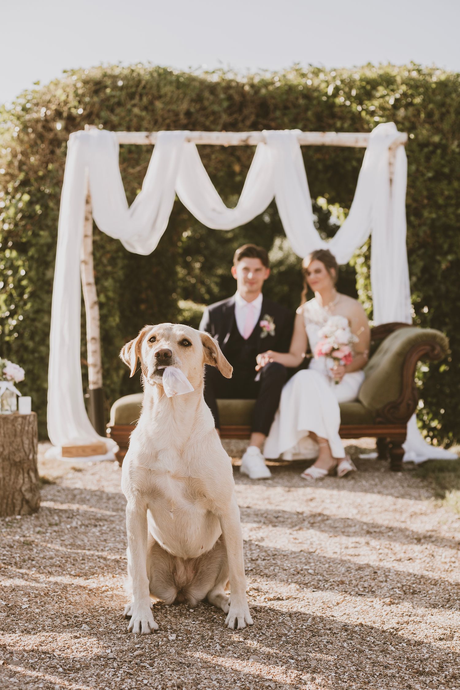 Hond brengt de ringen naar het bruidspaar tijdens de ceremonie.