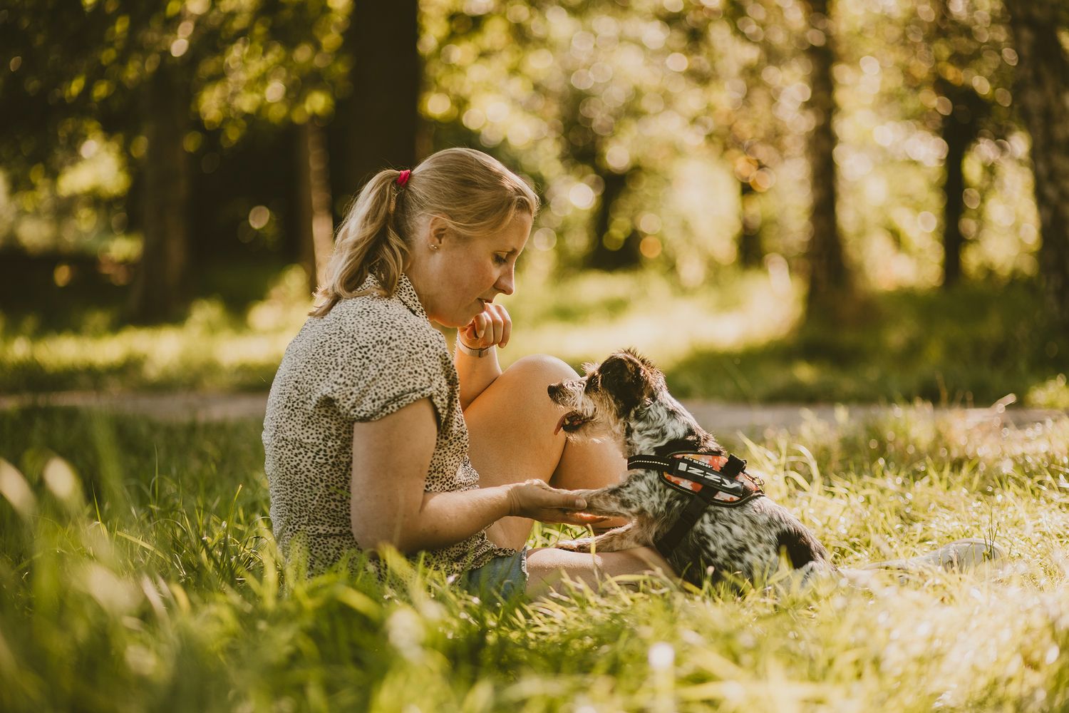 A person and small black dog share a tender moment in a sunlit meadow during golden hour.