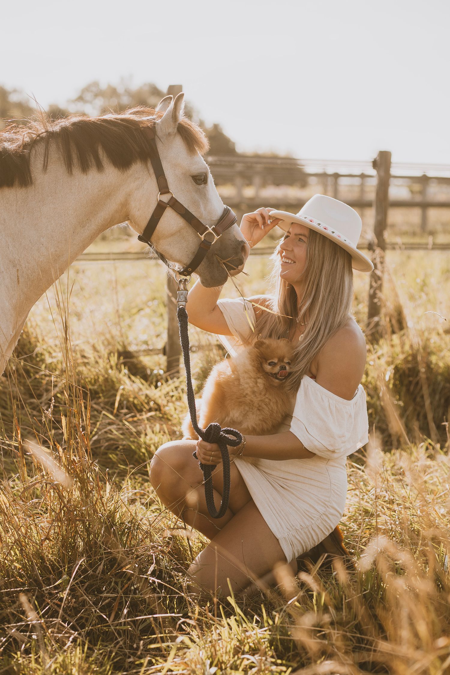 A light brown horse and companion share a tender moment in a sunlit field with wooden fencing in the background.