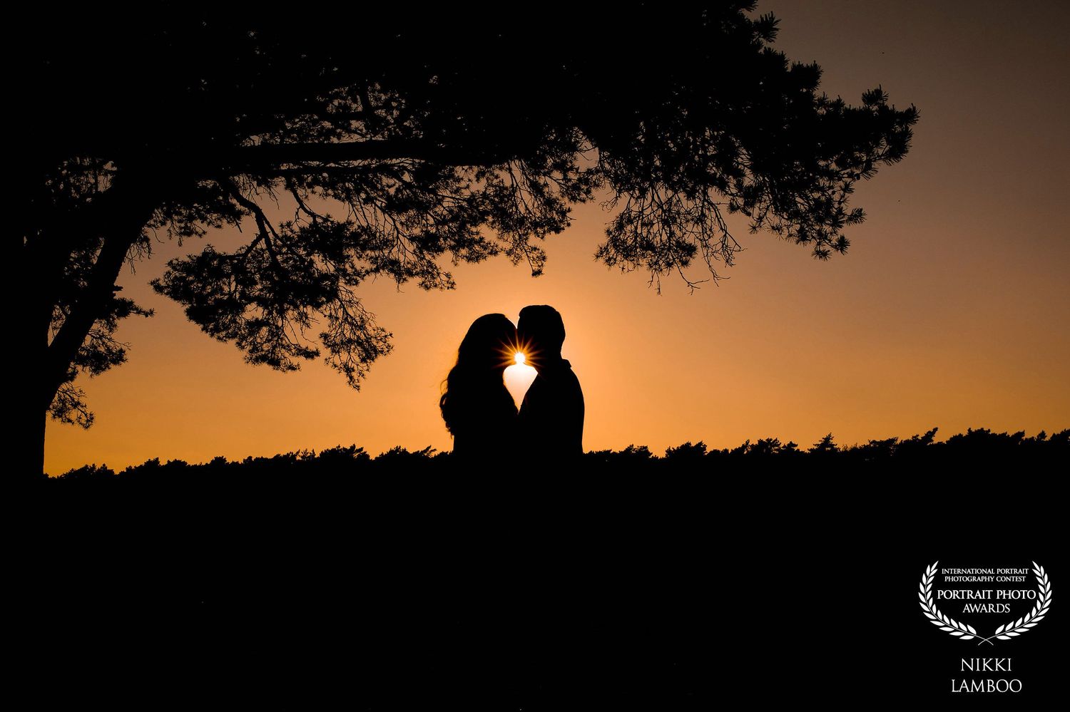 Romantic couple silhouette kissing at sunset under a tree with a golden orange sky backdrop.