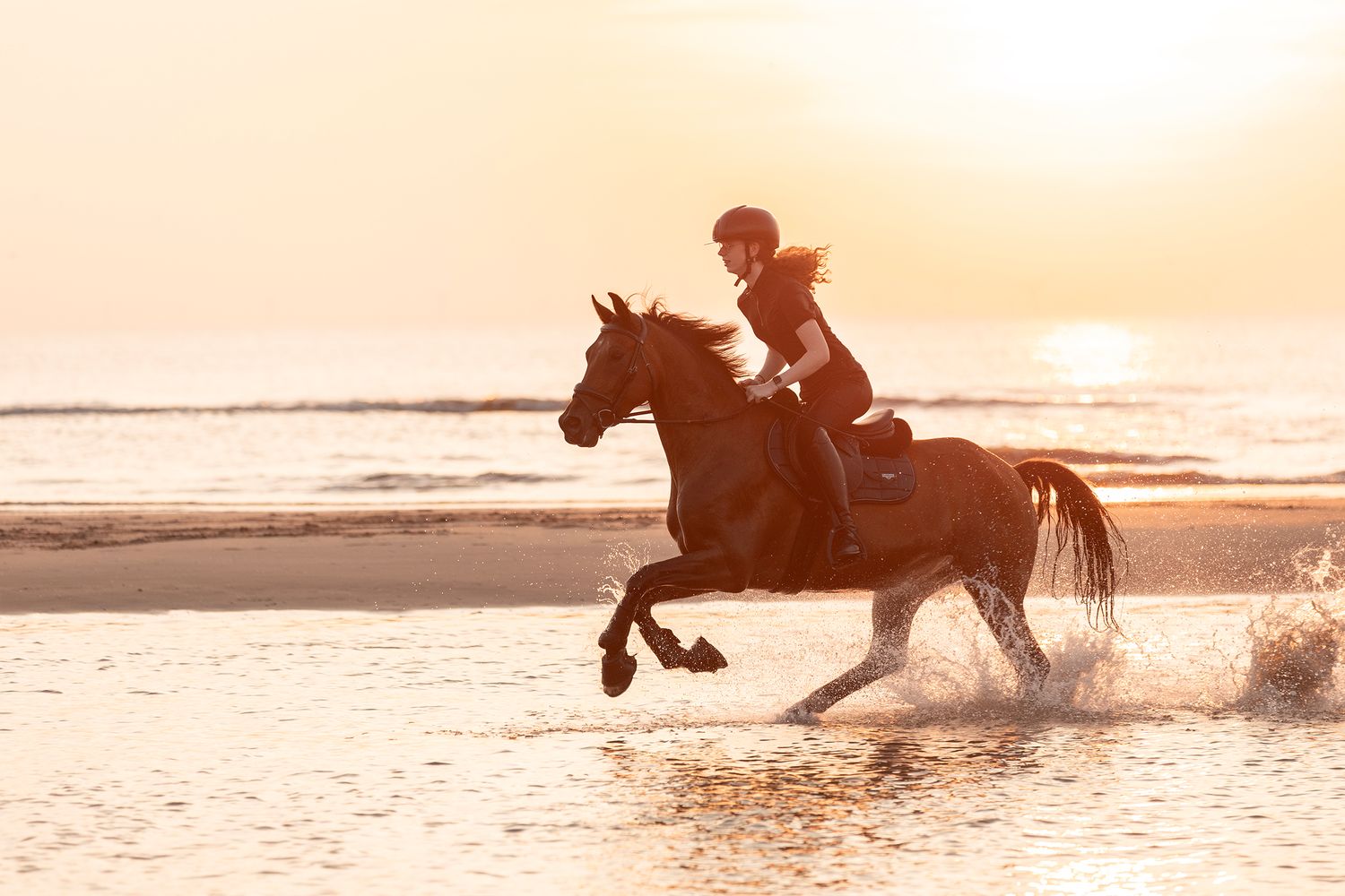 Silhouetted horse and rider galloping through shallow ocean water at sunset creating dramatic splashing effect.