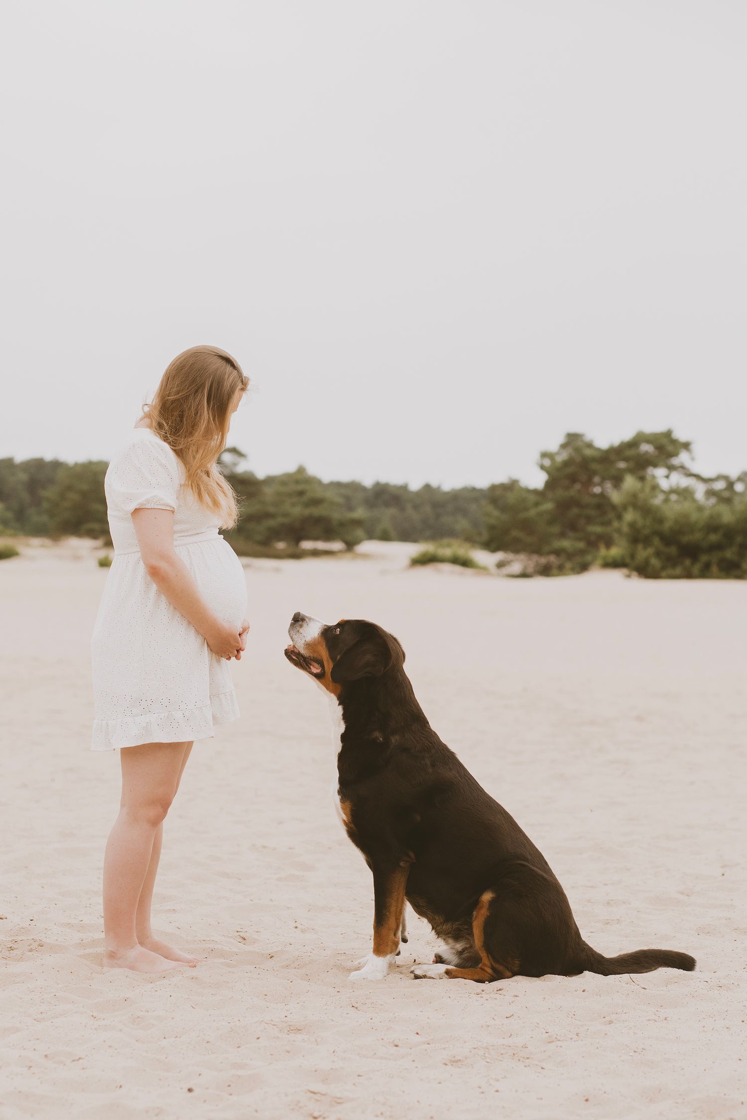 A person in a white dress stands on a sandy beach with a black and brown dog sitting attentively beside them.