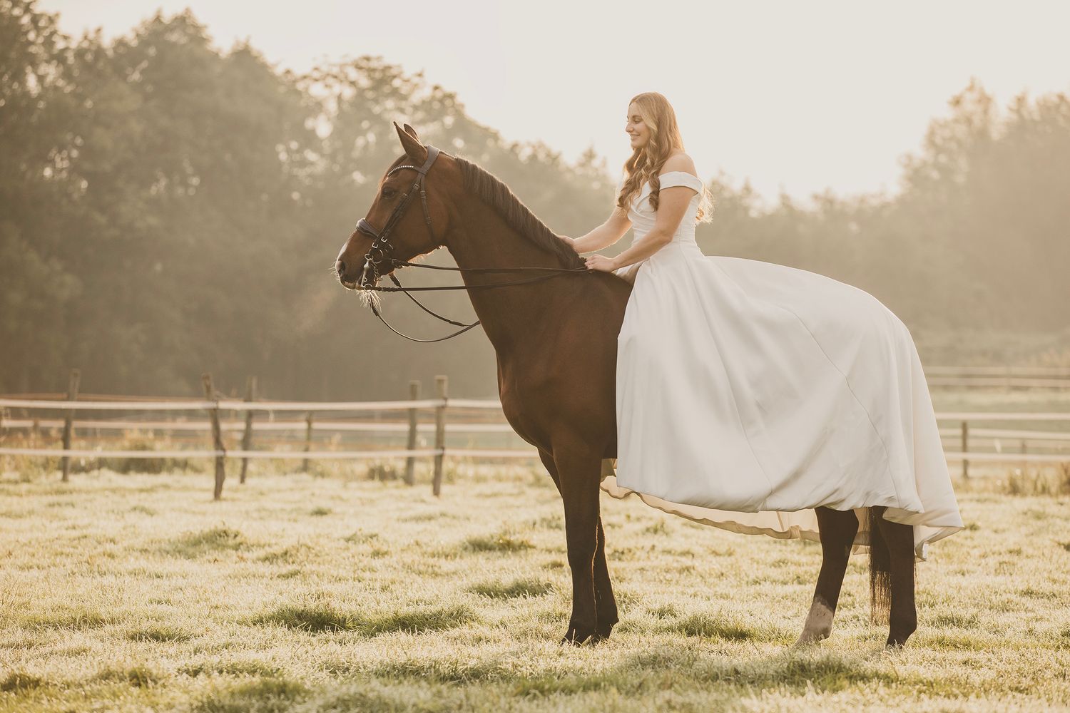 A series of romantic sunset photos showing a couple with their horse in a misty pasture at golden hour.